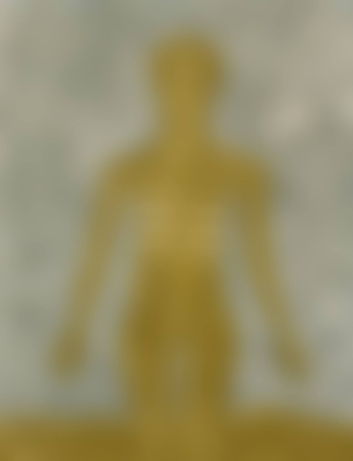 Figura en Ocre (P. 194) (preview)