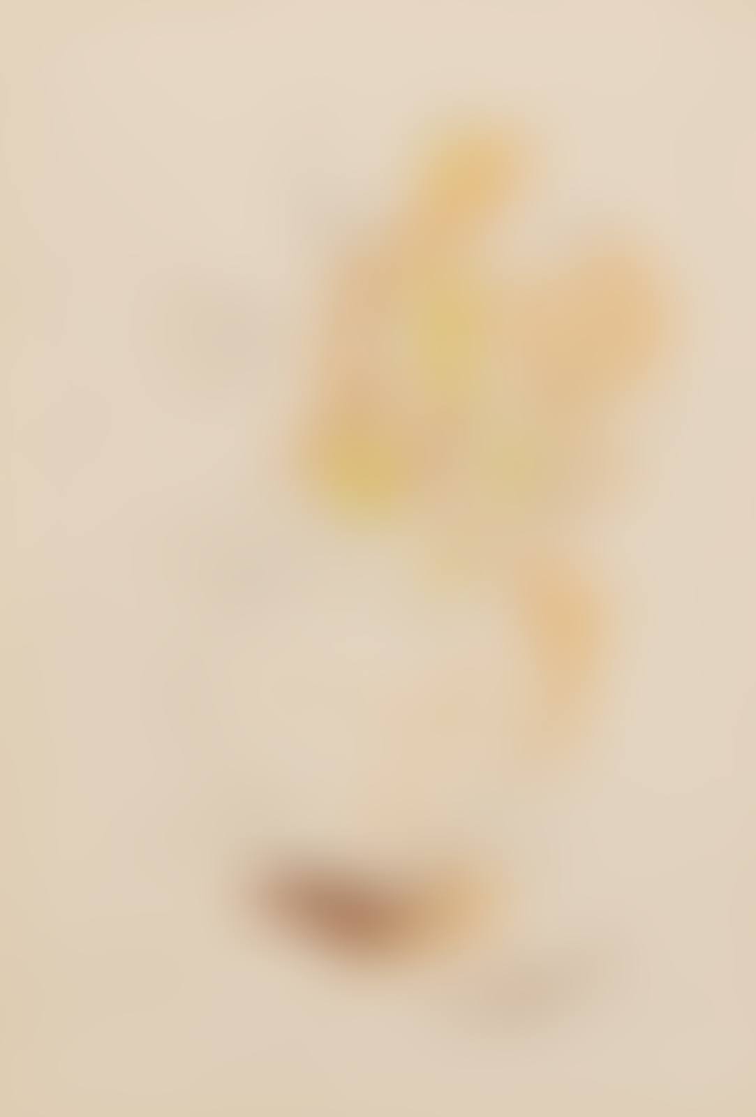 Vase de Fleurs (preview)