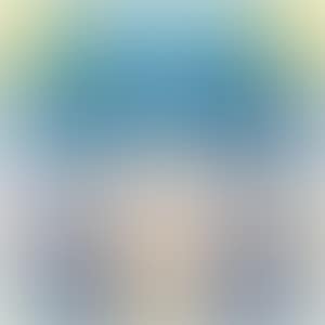 100 points (preview)