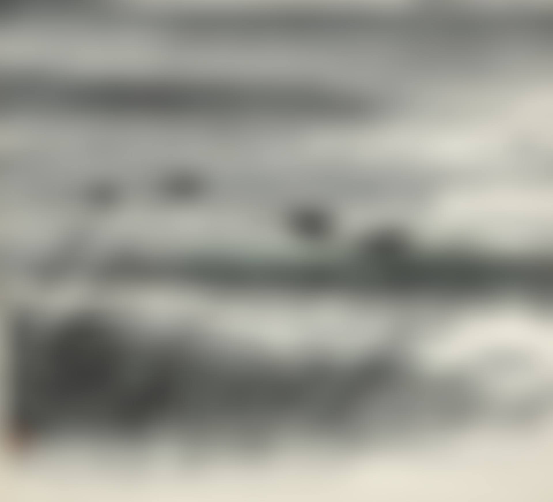 GEESE FLYING BY THE REEDS (preview)