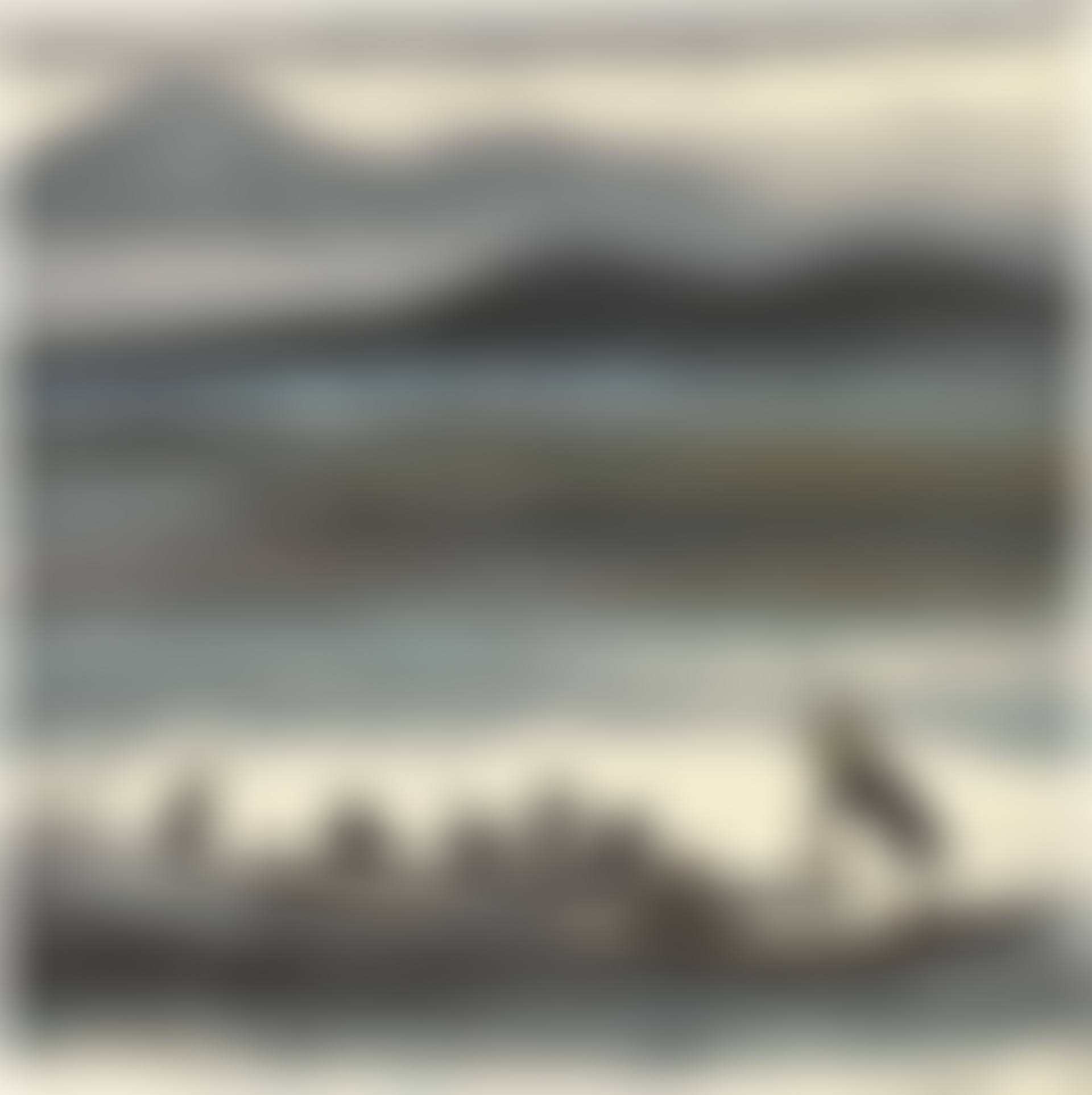 CORMORAN FISHER (preview)