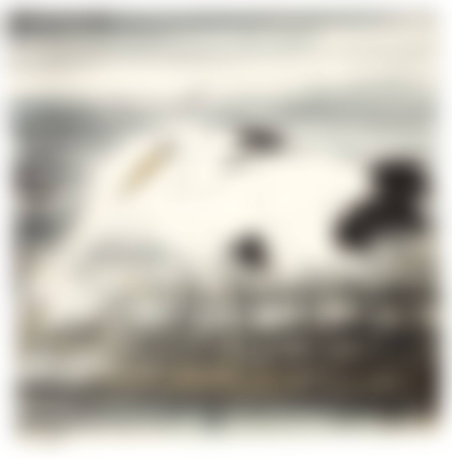 TWO CRANES (preview)