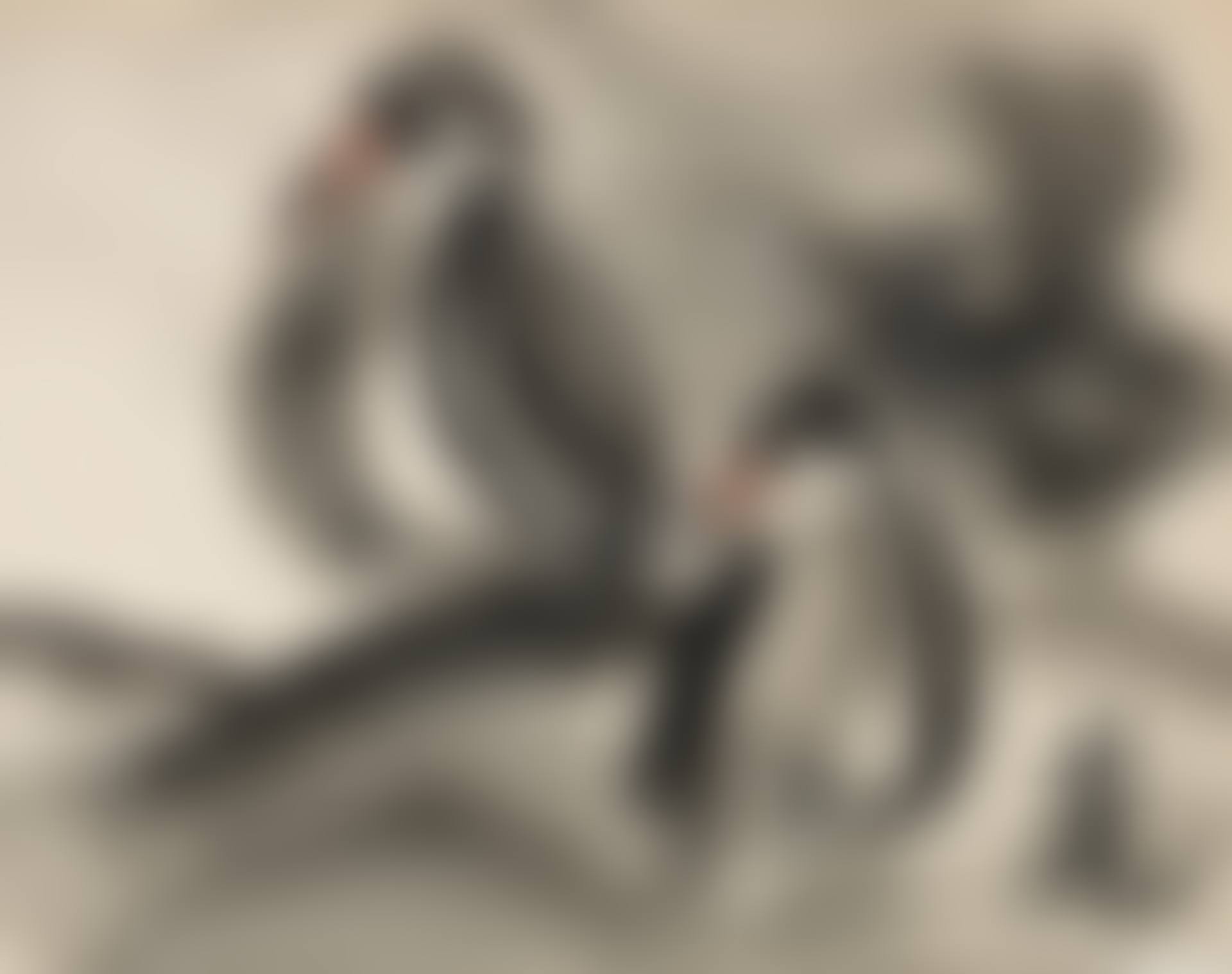 Two Birds (preview)