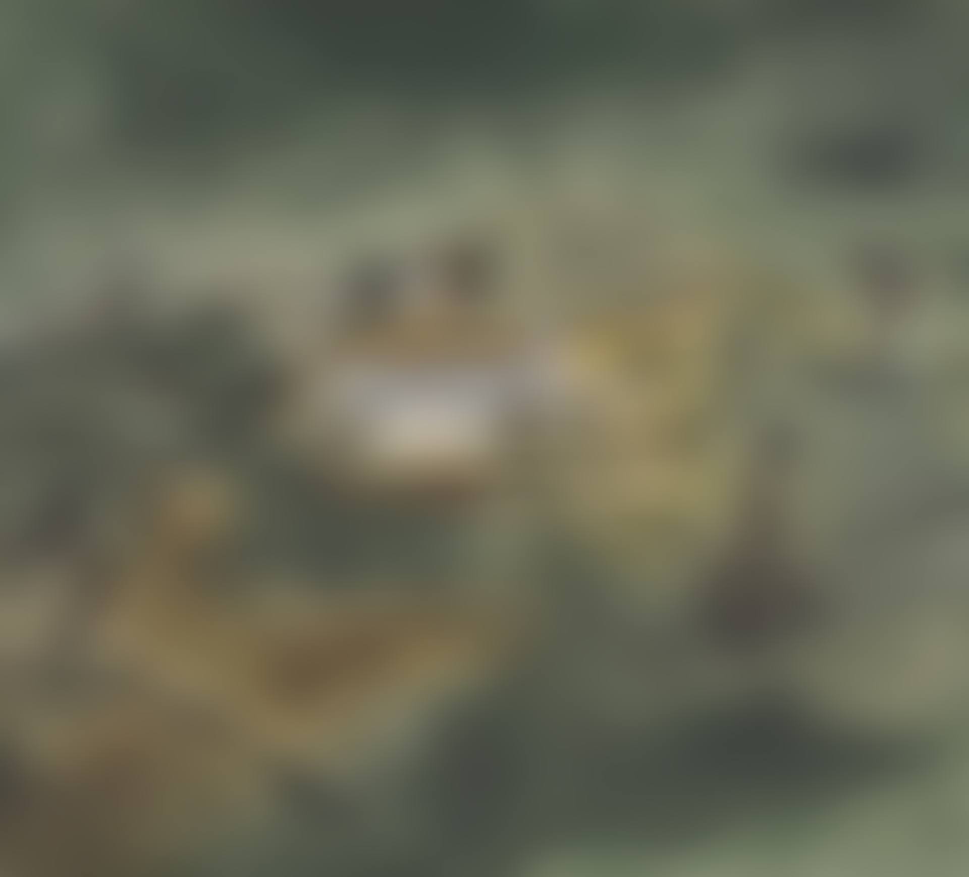 1928 (HARE HILL) (preview)
