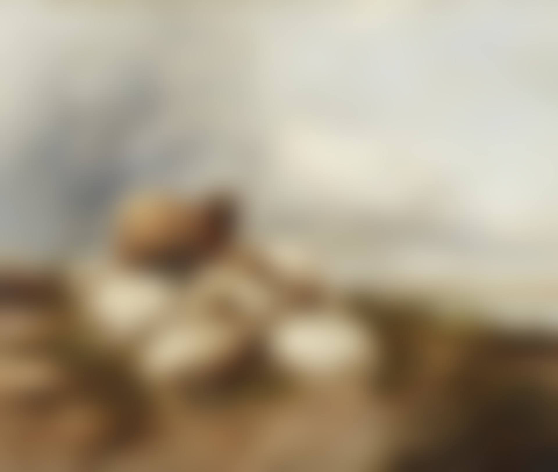 Sheep on a riverbank (preview)