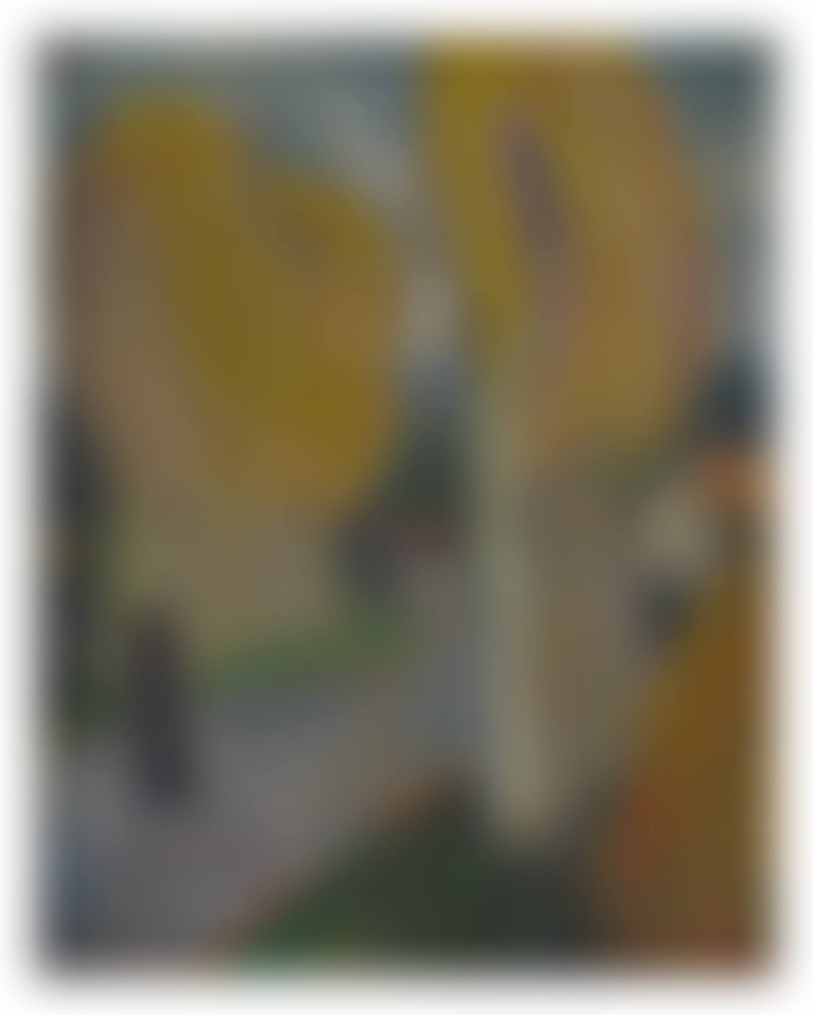 PAYSAGE DE ST RÉMY DE PROVENCE (preview)