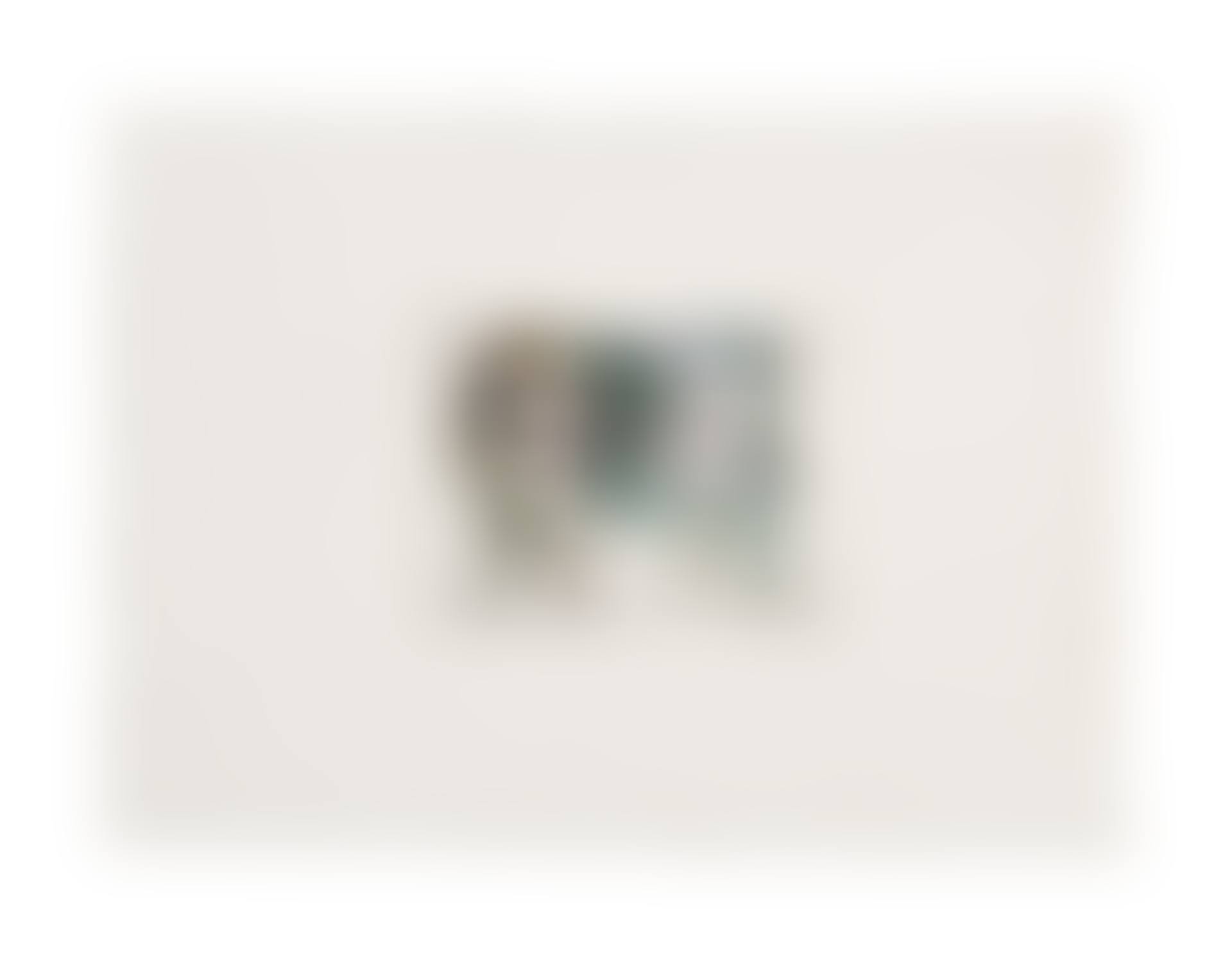 VACHE PAYSAGE (preview)