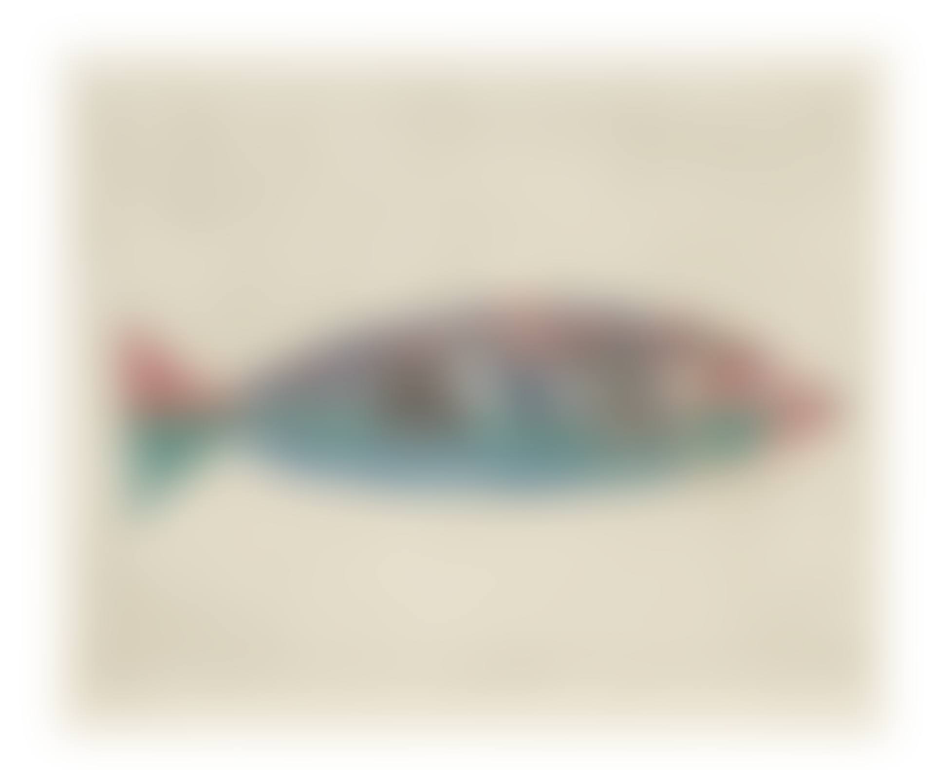 POISSON PAYSAGE (preview)