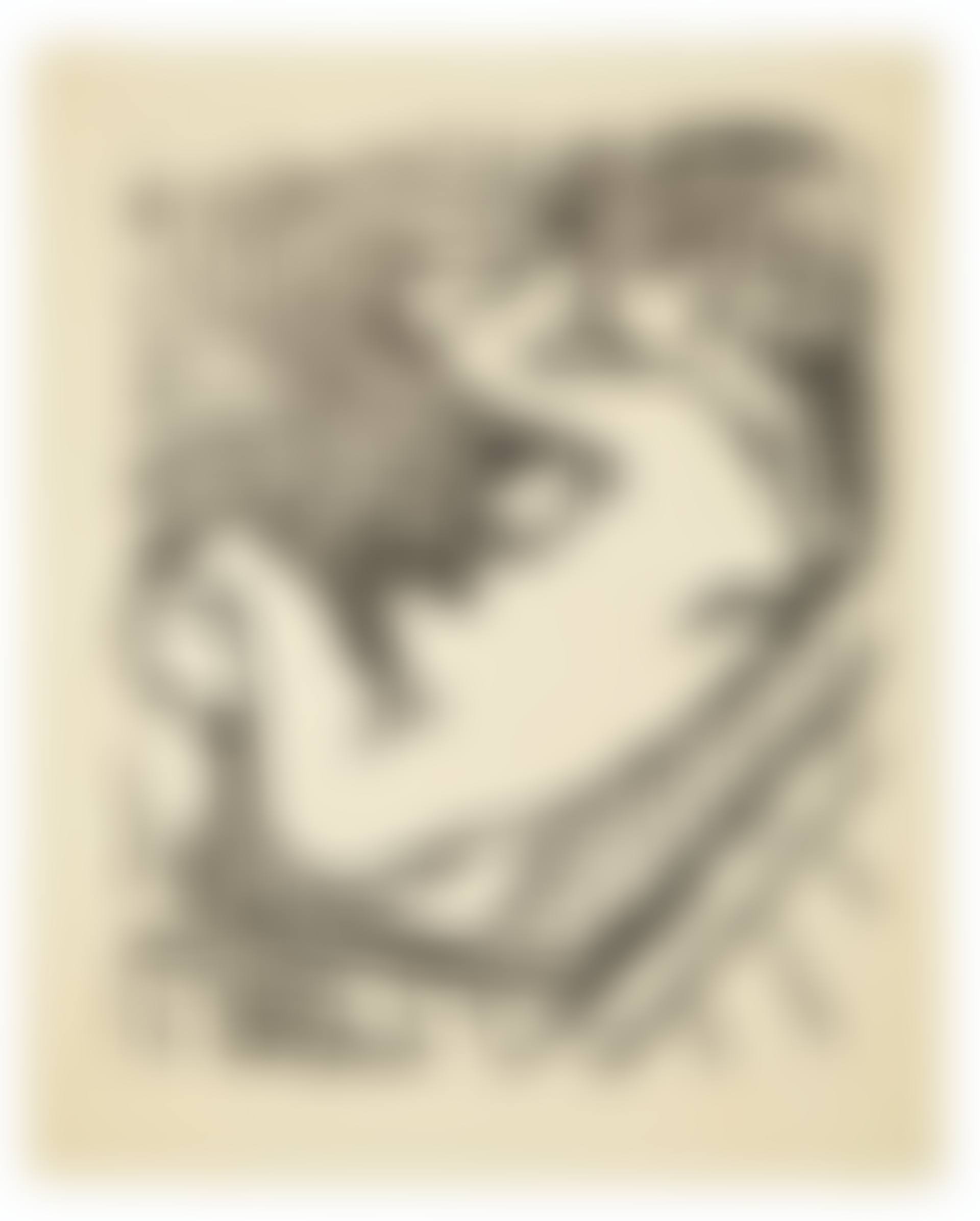 Le Grand Bois (preview)