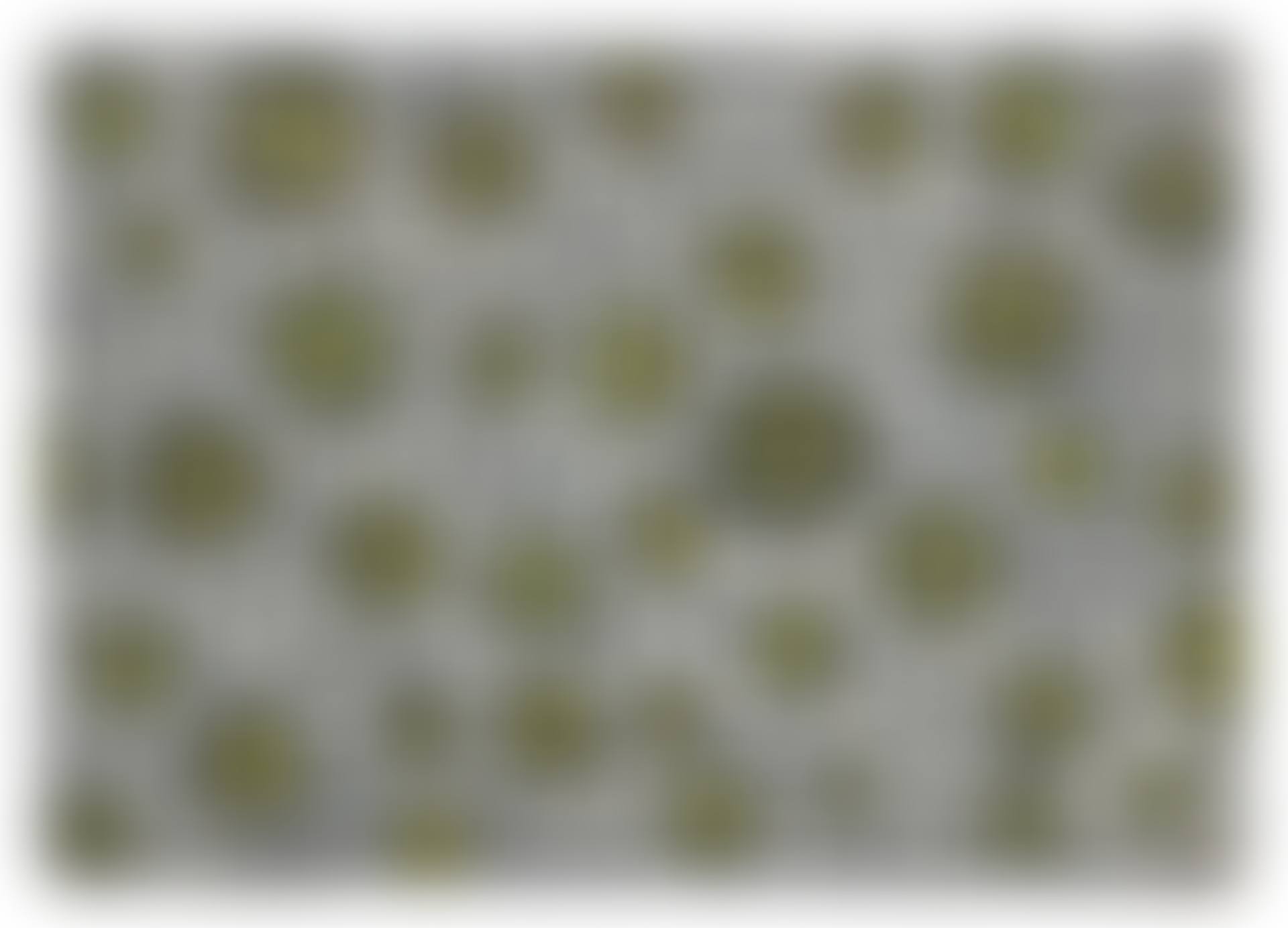 Genesis (preview)