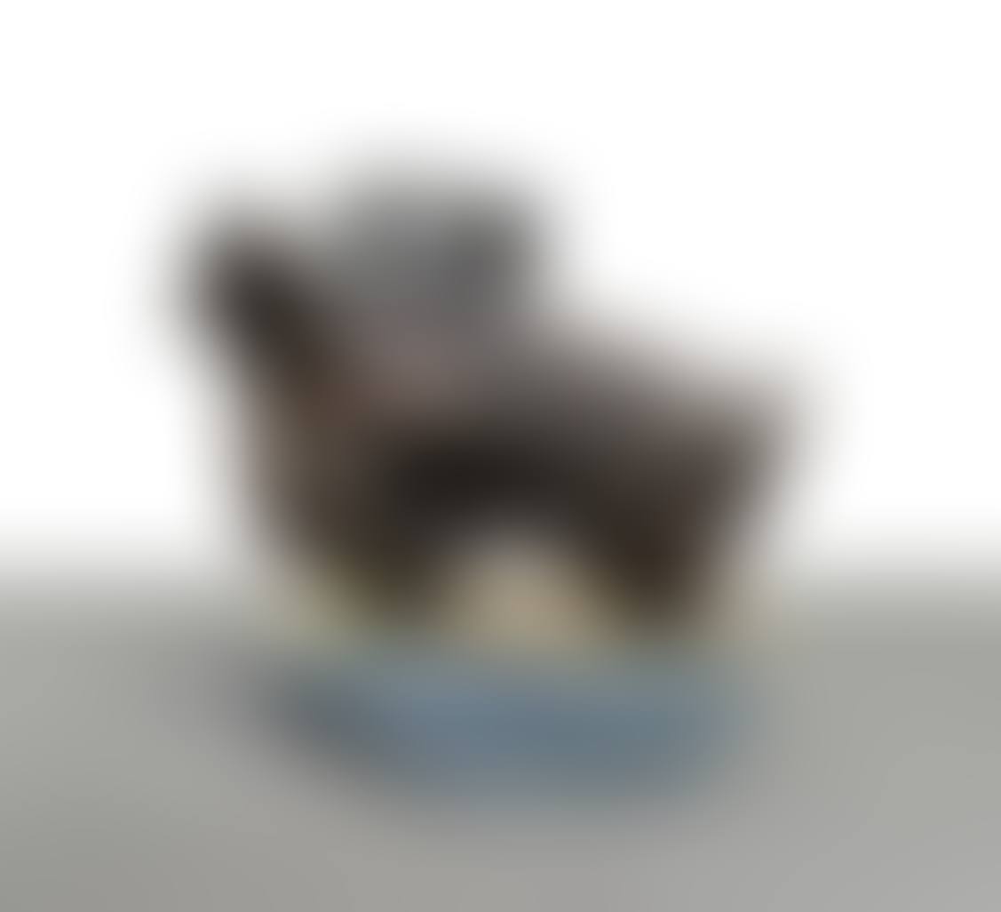 Torso di Ikaro (preview)