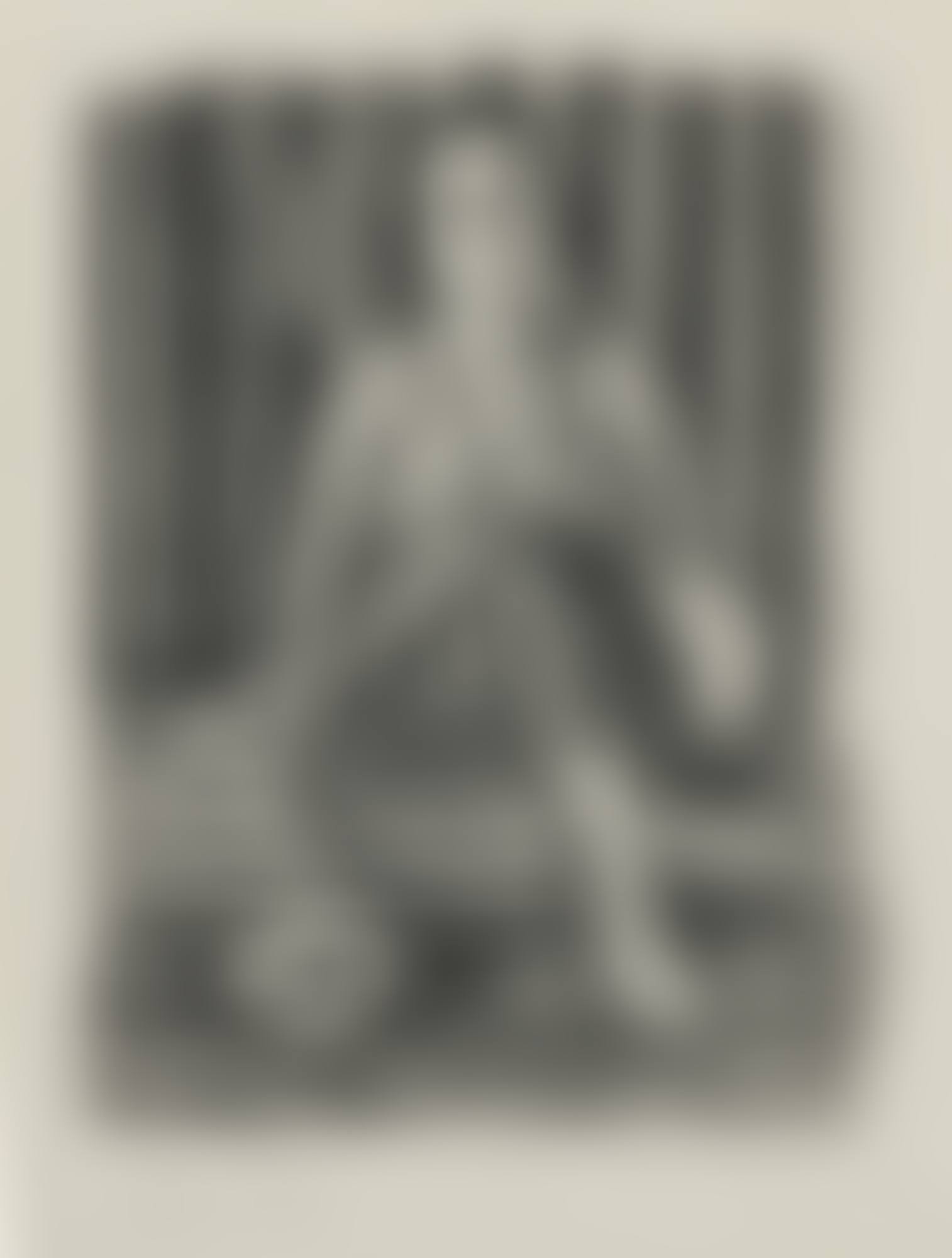 ODALISQUE À LA COUPE DE FRUITS (D. 466) (preview)