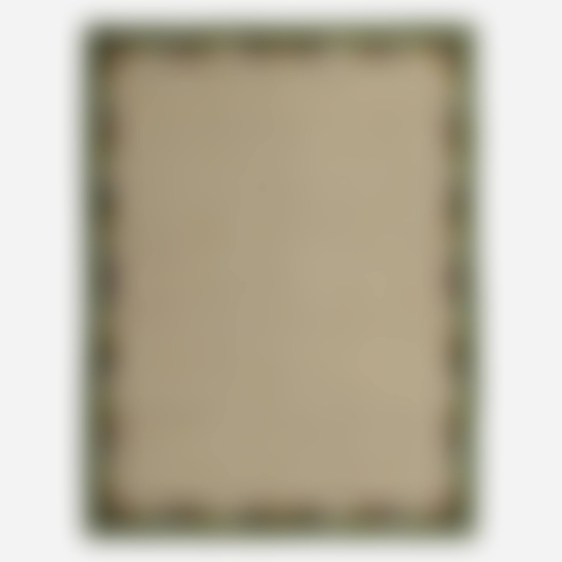 flatweave carpet (preview)