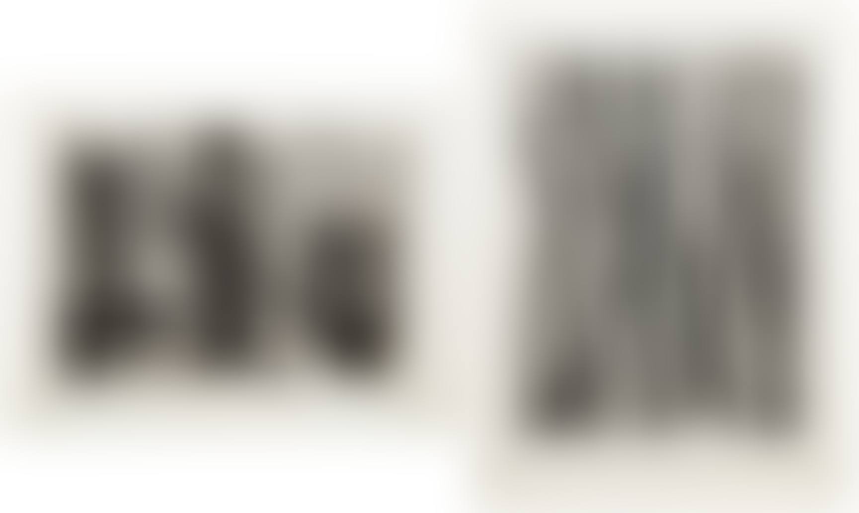 G22 (I); G24 (II) (preview)