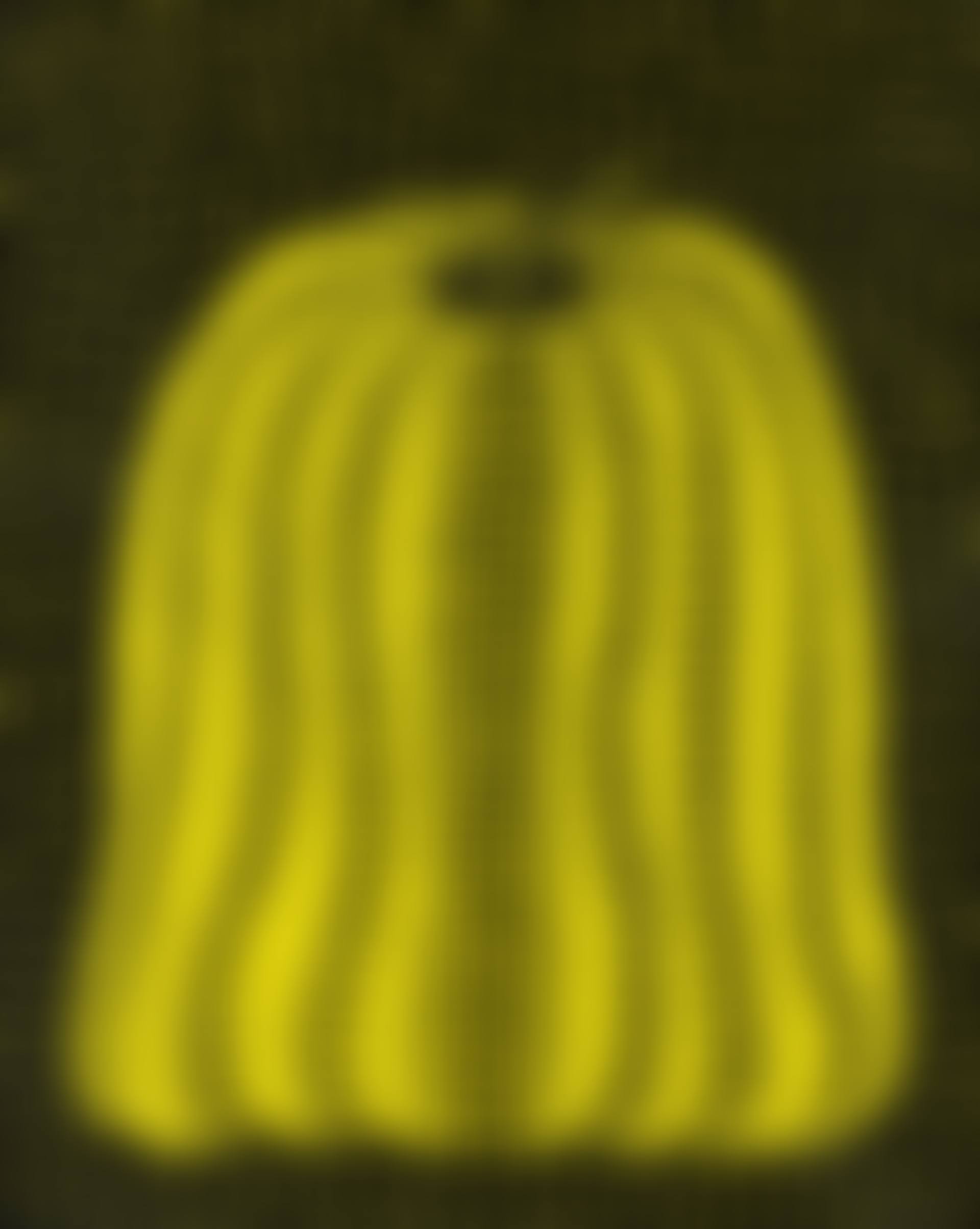 Pumpkin (preview)