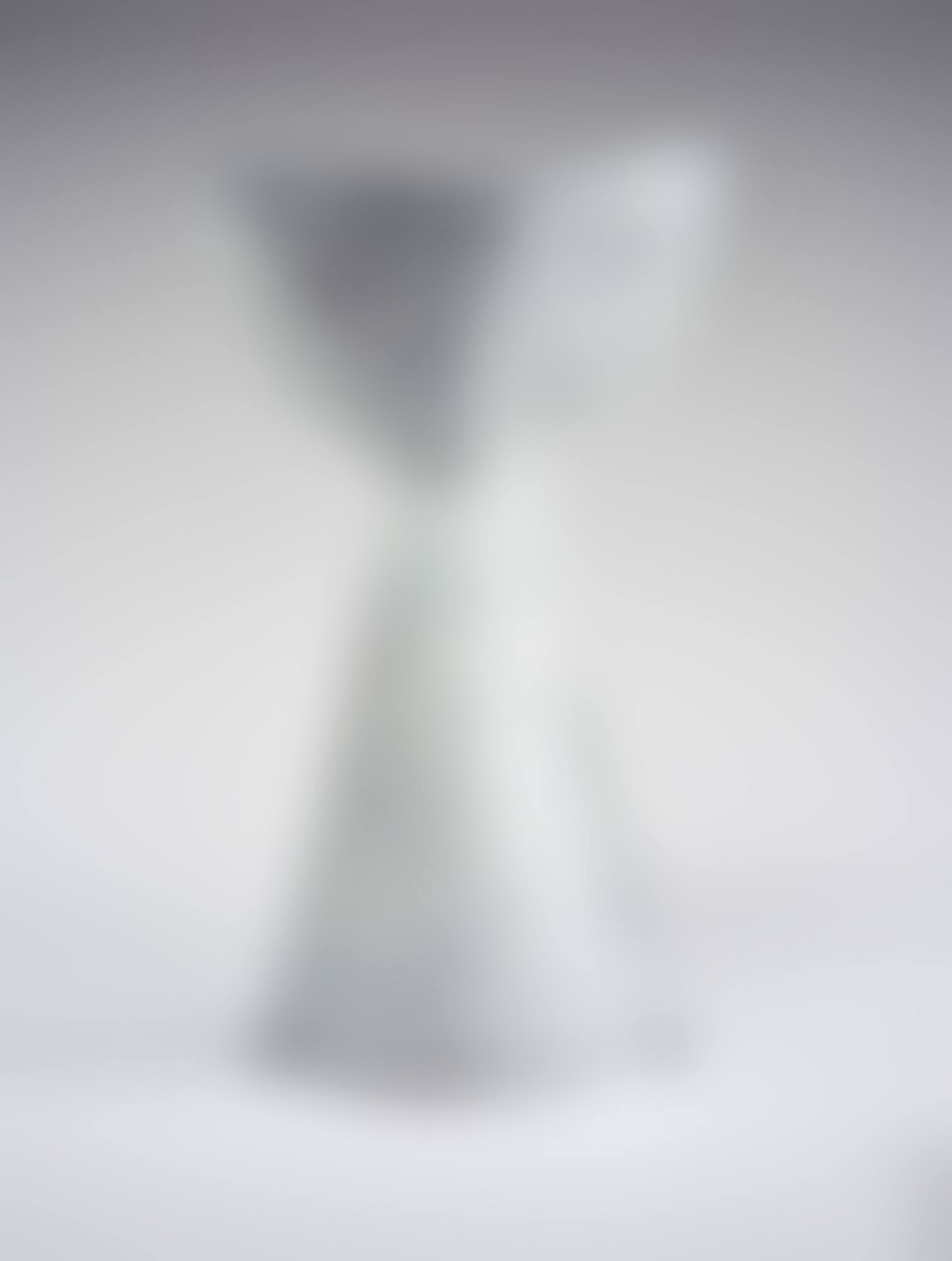 VASO LUNA (preview)