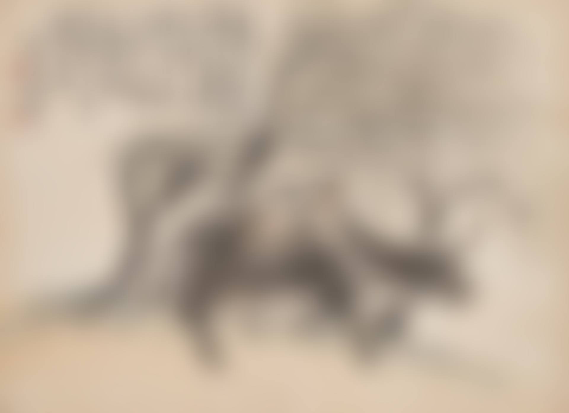 Boy Riding Buffalo (preview)