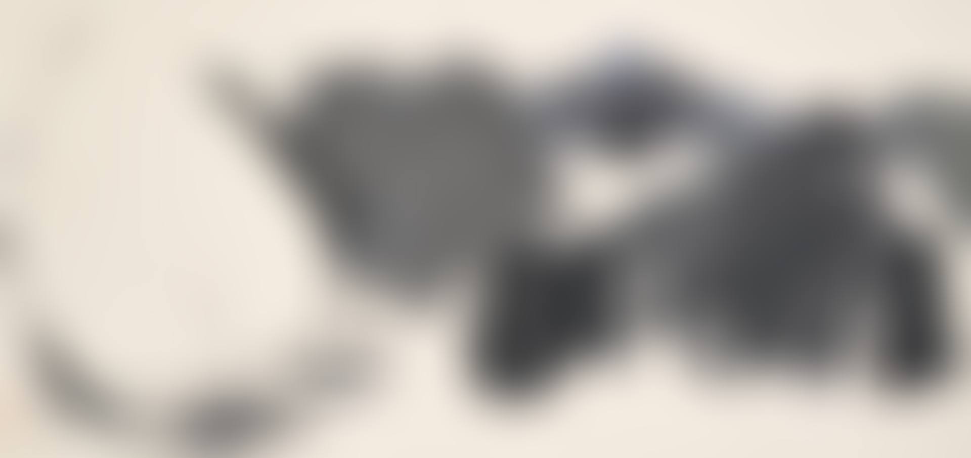 Typhoon Shelter (preview)