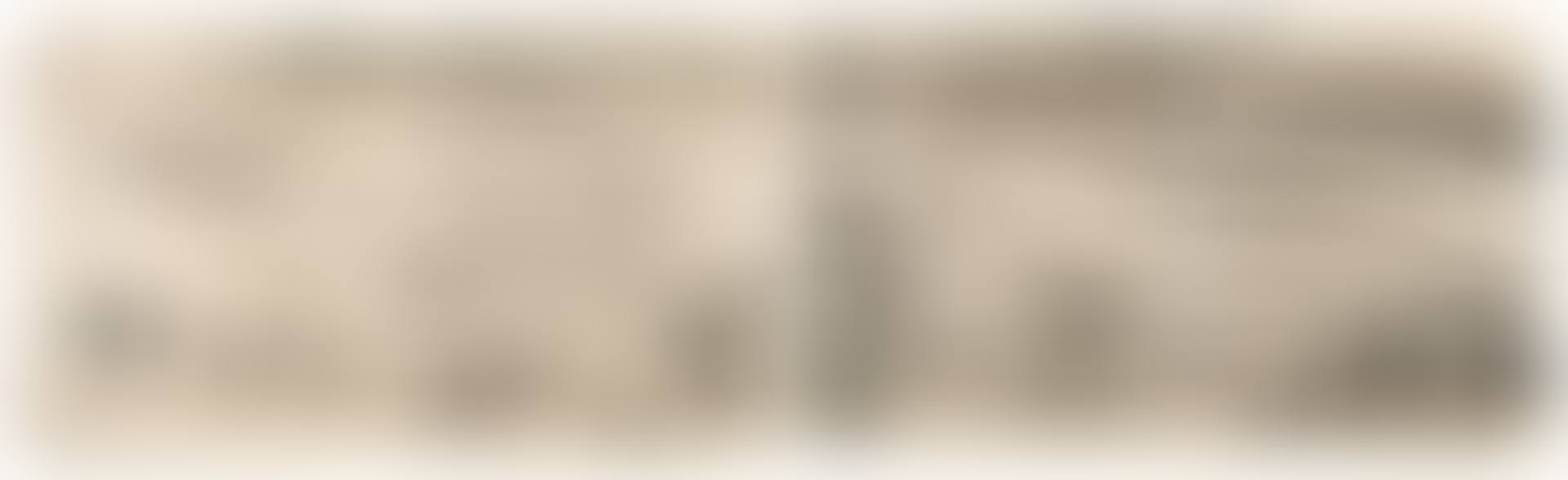 Landscript - The Drawing from the Project of Helsinki-Himalaya Exchange (preview)