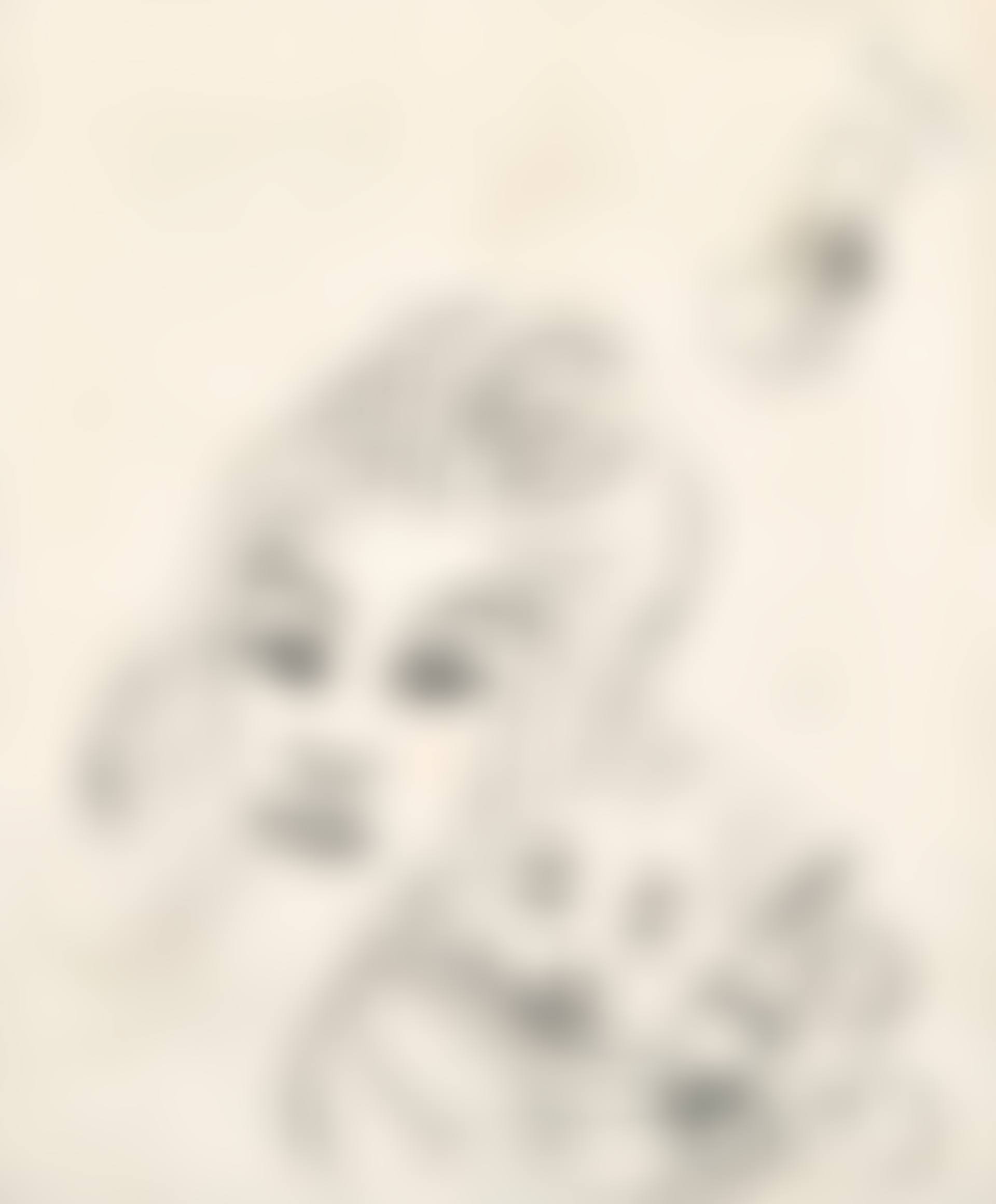 Sketch (preview)