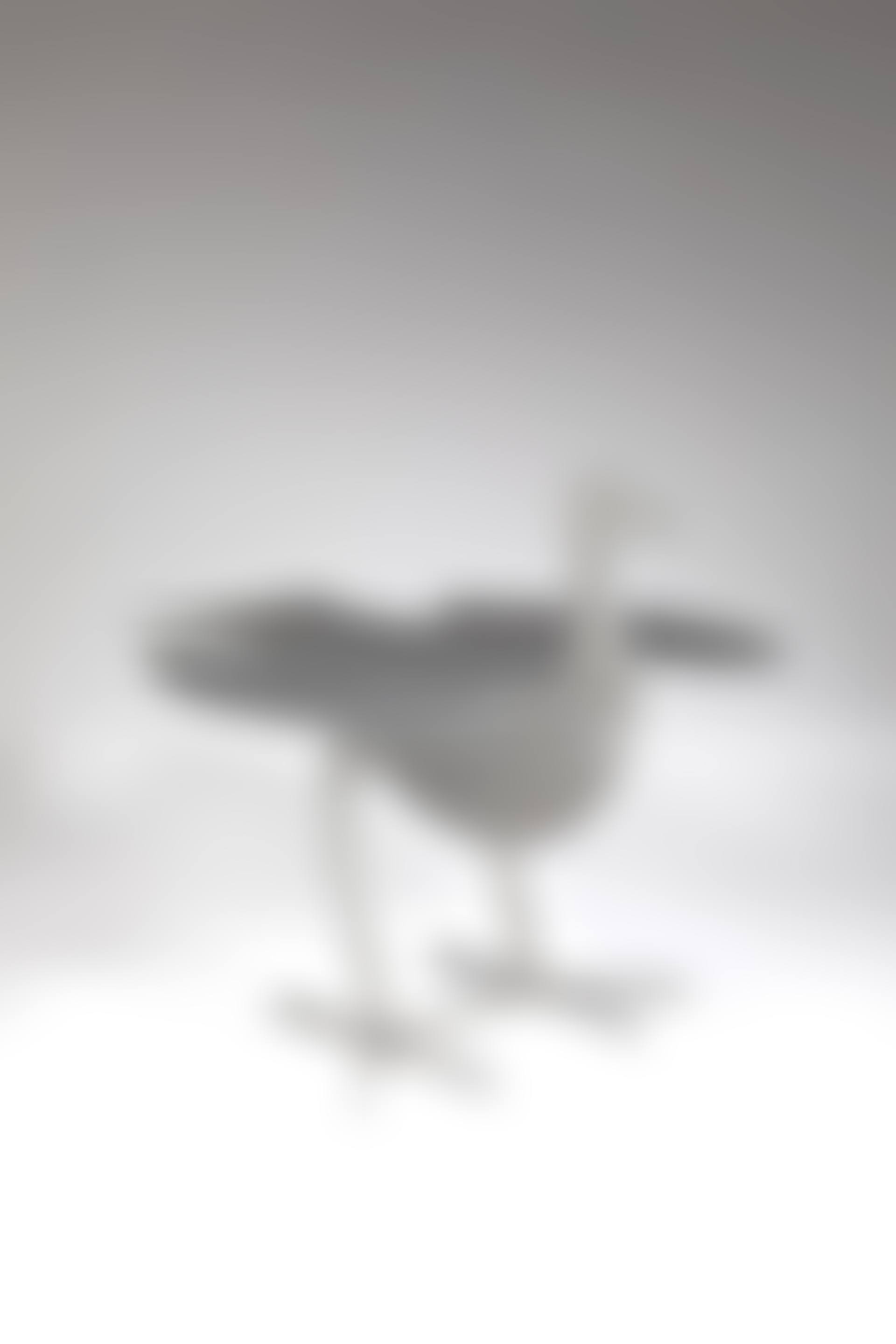 Table "Oiseau d'argent" (preview)