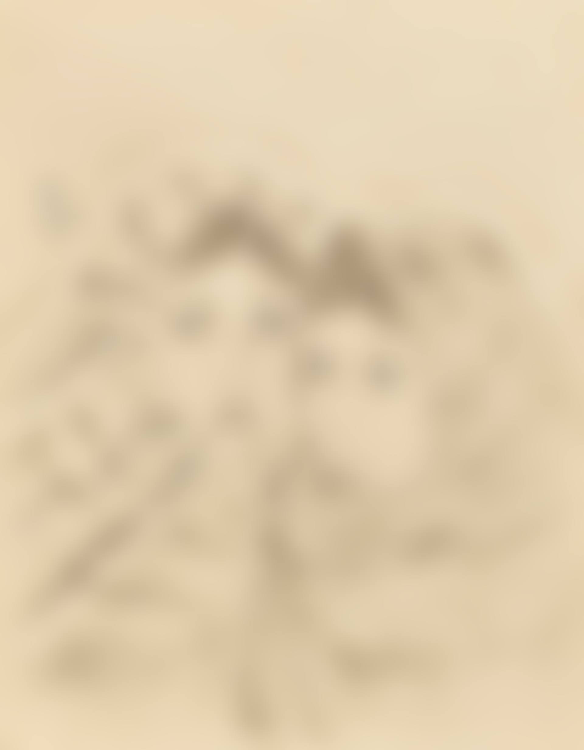 Two Beauties (preview)