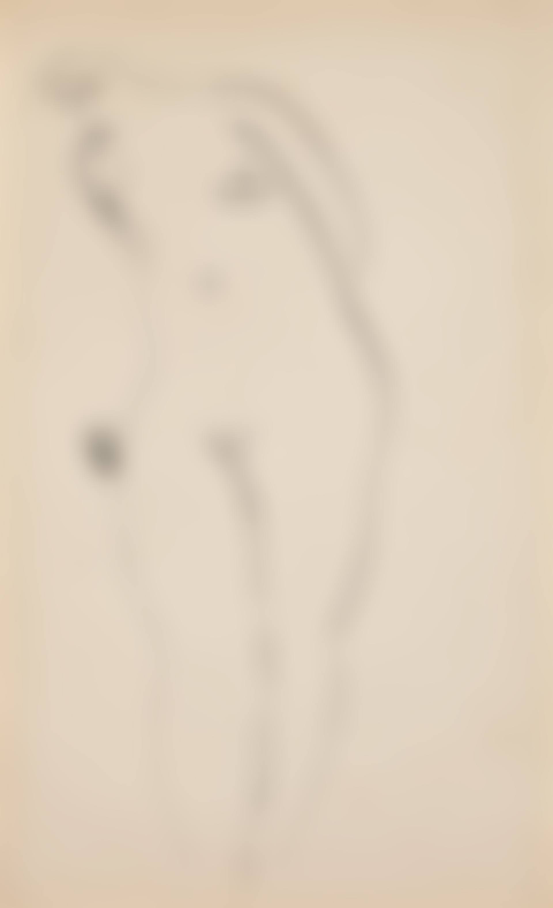 Standing Nude (preview)