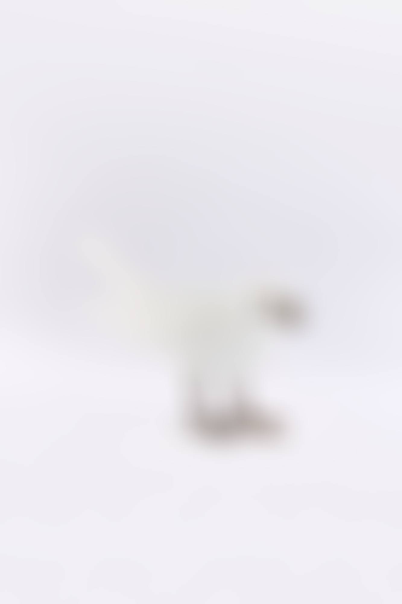 'OISEAU DE VERRE' (preview)