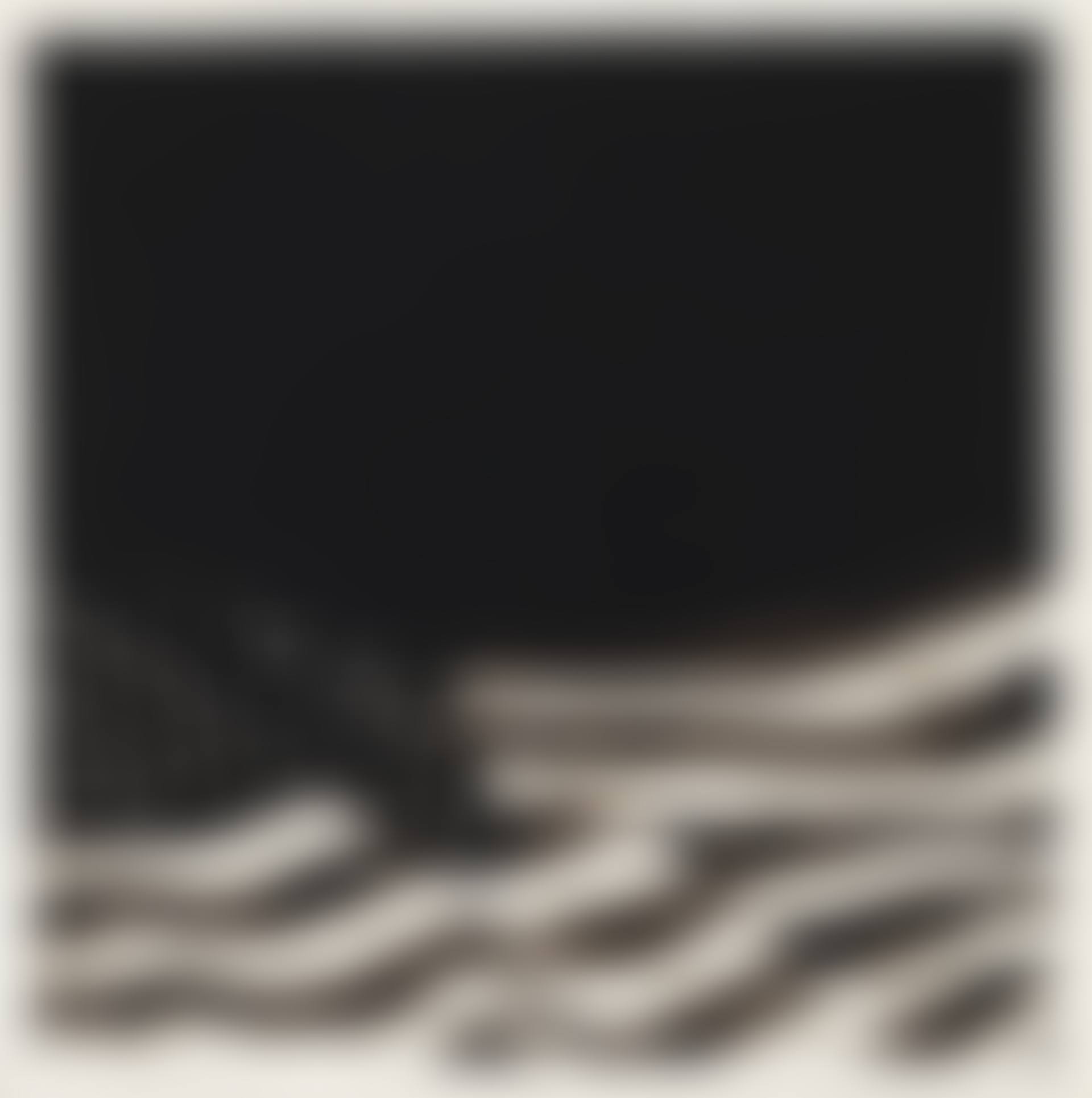 Study of Black Flag - For Howard Zinn (preview)