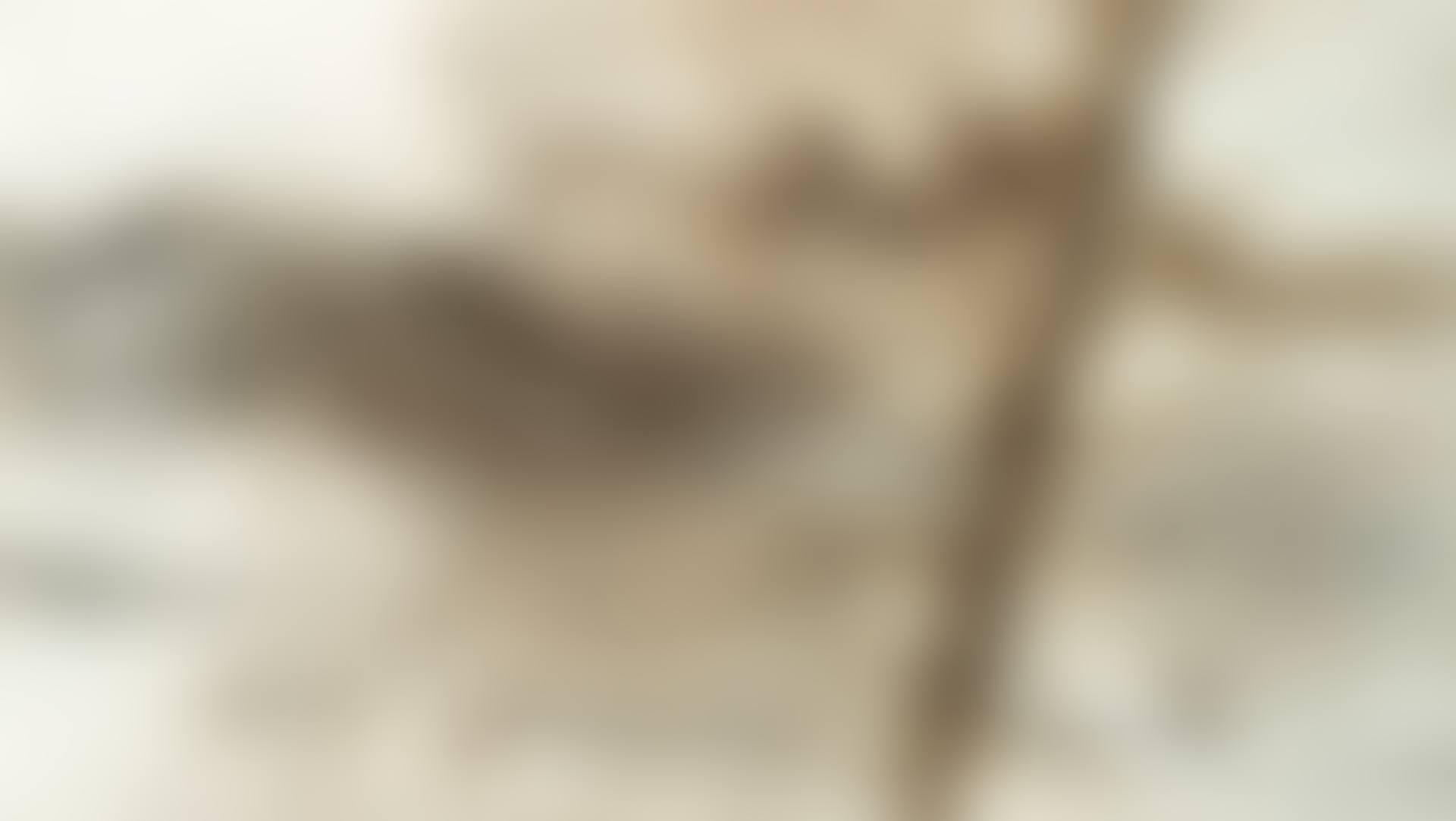 Mountains and Rivers (preview)