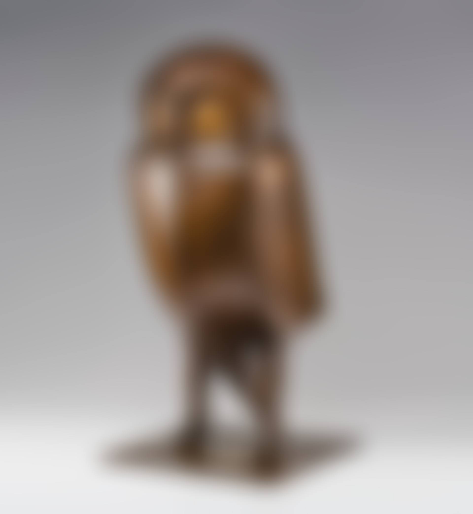 Chouette de Tourtour (preview)