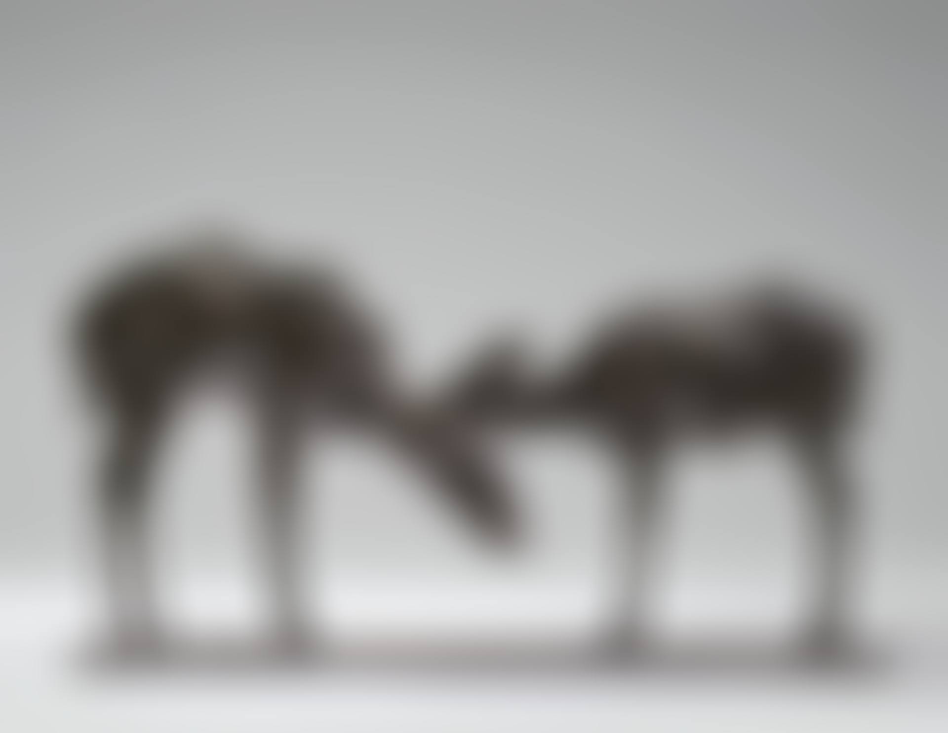 Petites antilopes goudou "deux amis" (preview)