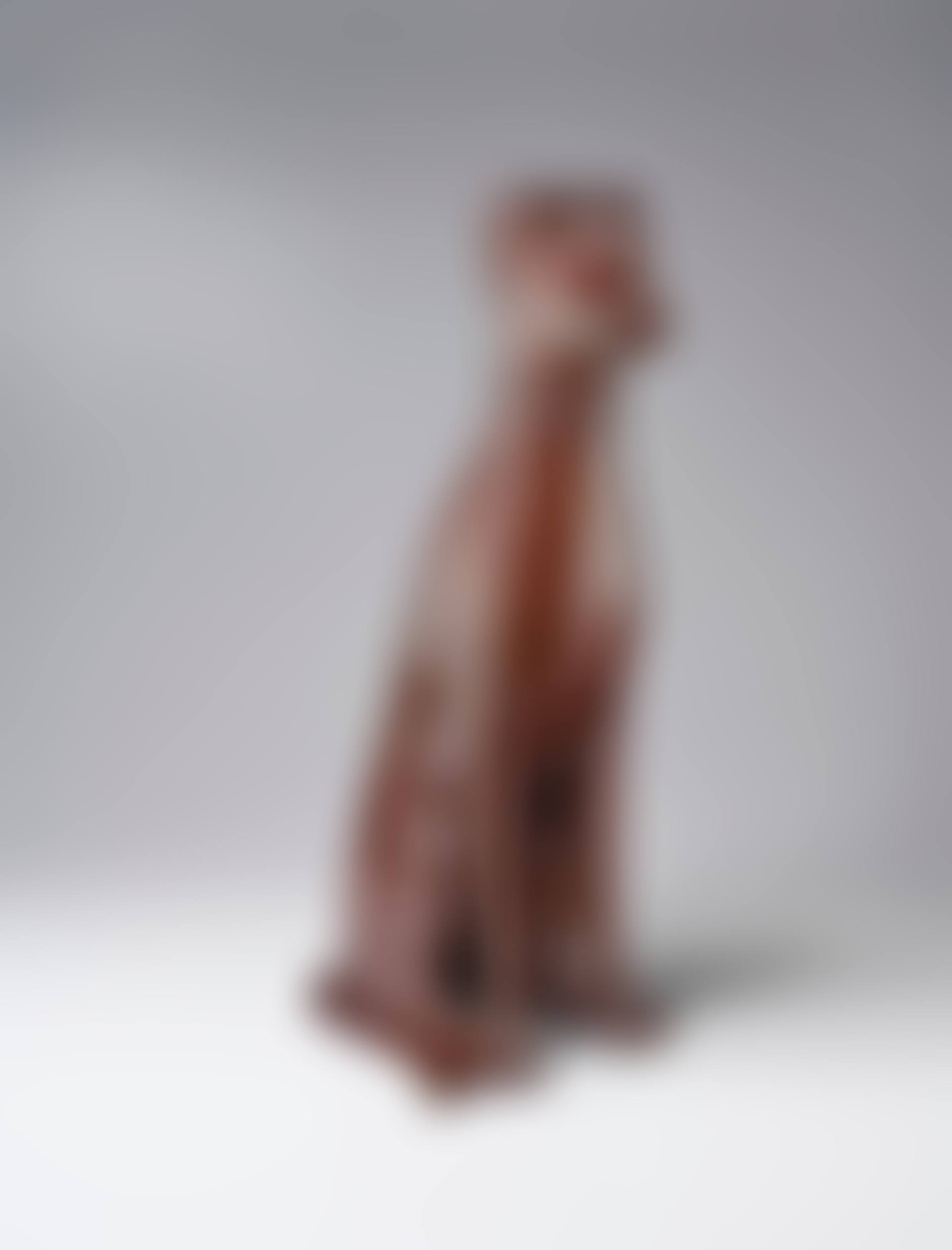 Chien assis (preview)