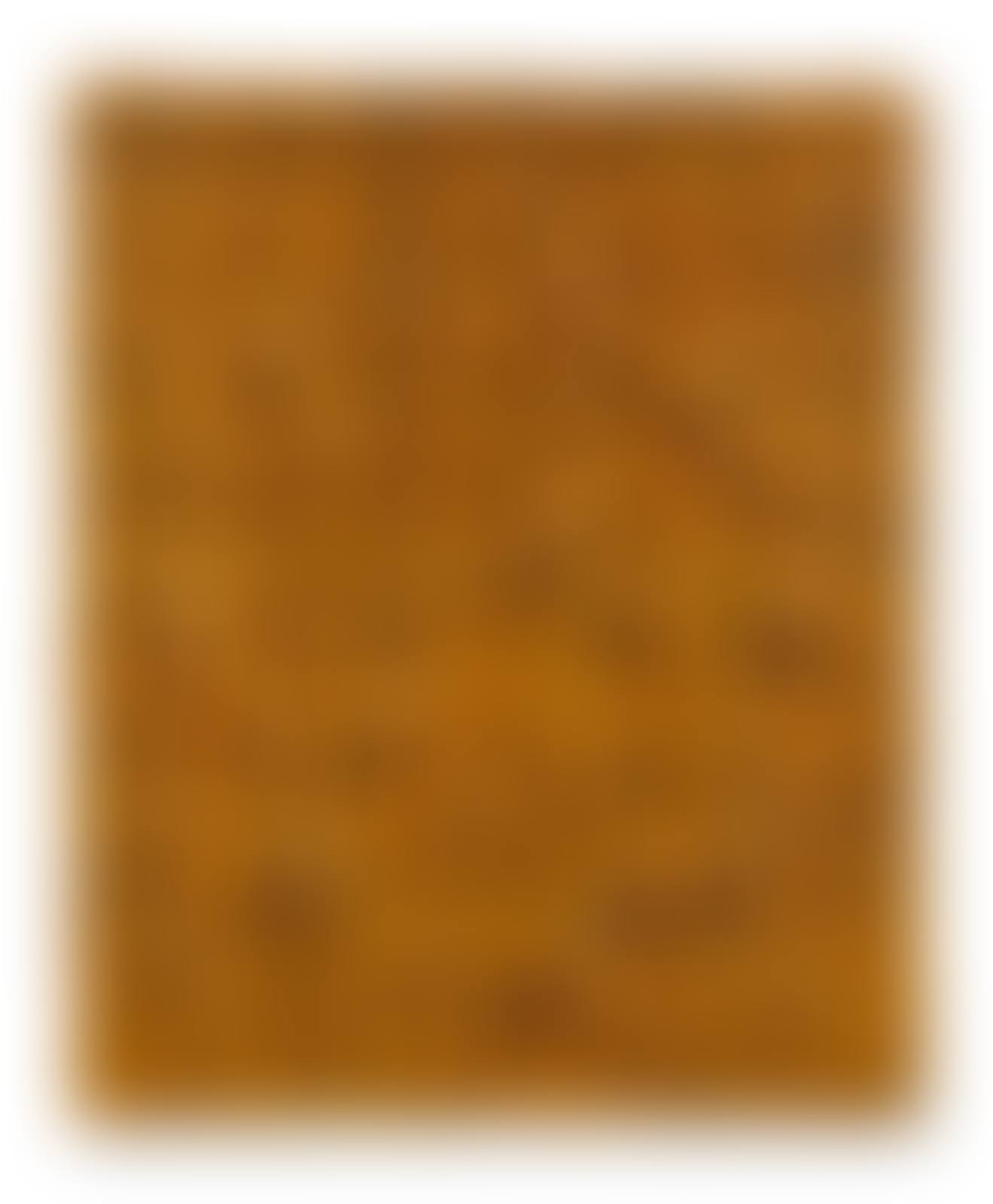 Recurrence P.A. 95007 (preview)