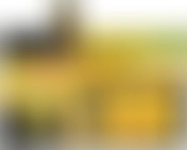 Christ No. 1 (preview)