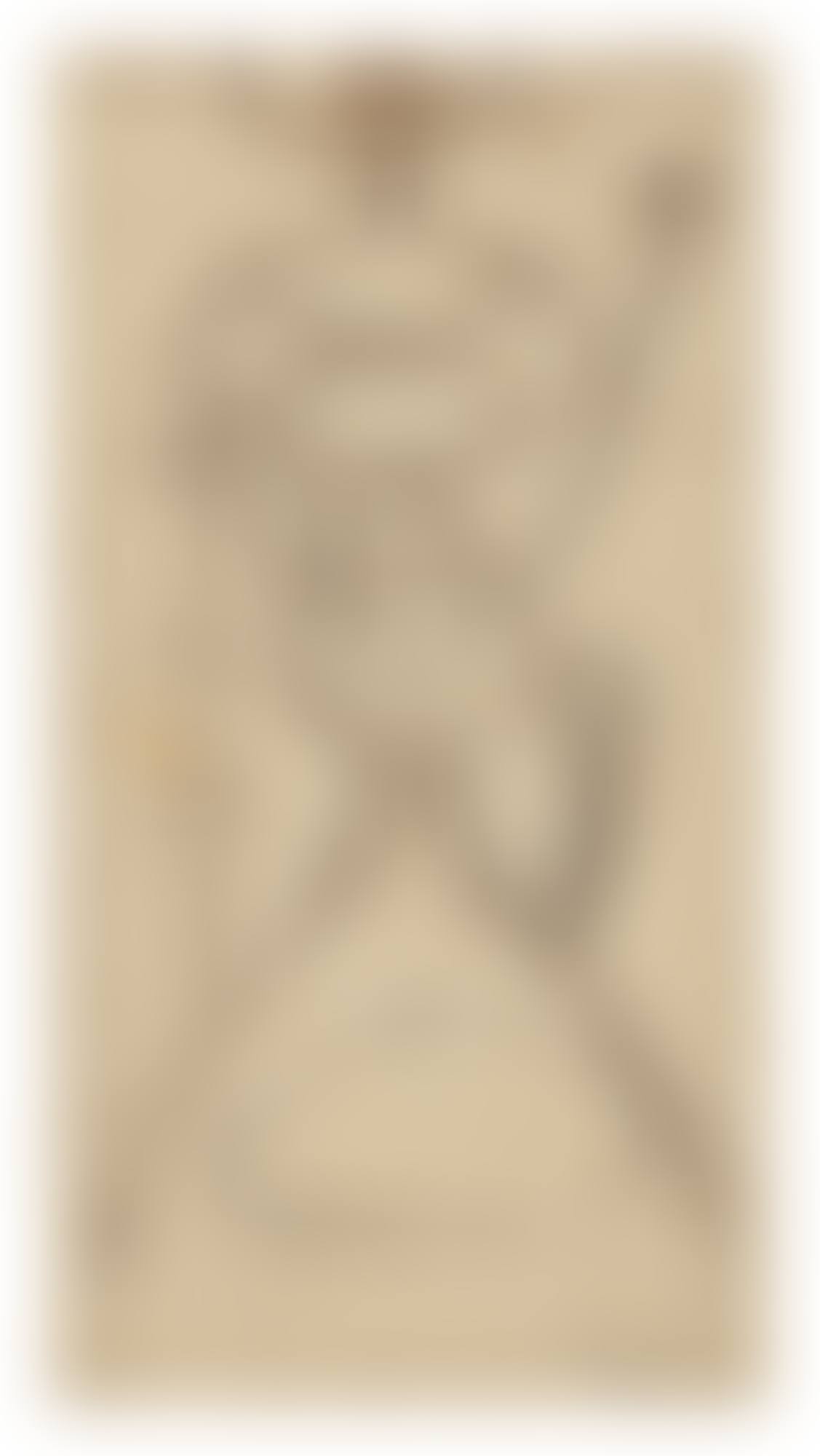 Boxwood (preview)