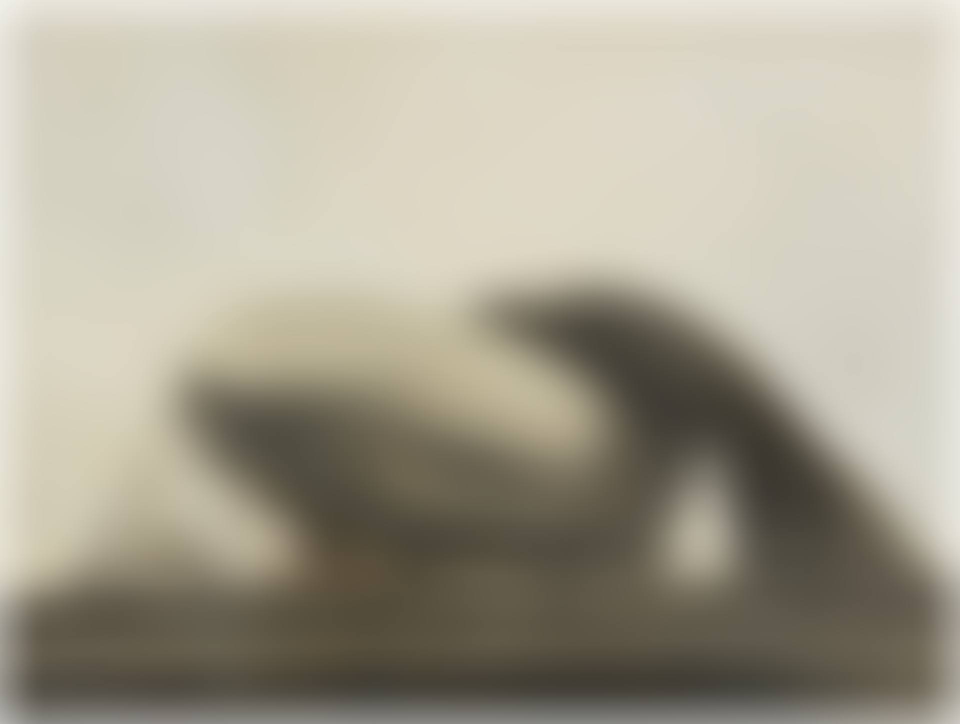 Goodyear Zeppelin: United States Airship "Akron" (preview)