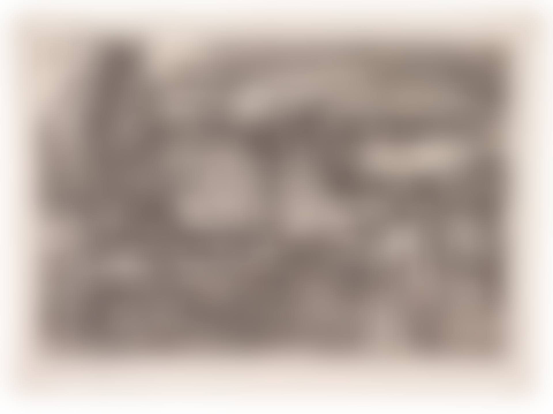The Landscape with the Cannon (B. 99; M., Holl. 96) (preview)