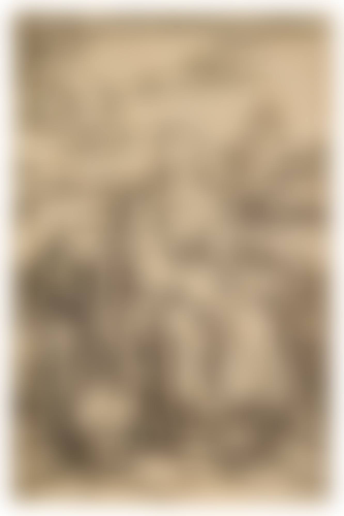 The Virgin and Child with the Monkey (B. 42; M., Holl. 30) (preview)