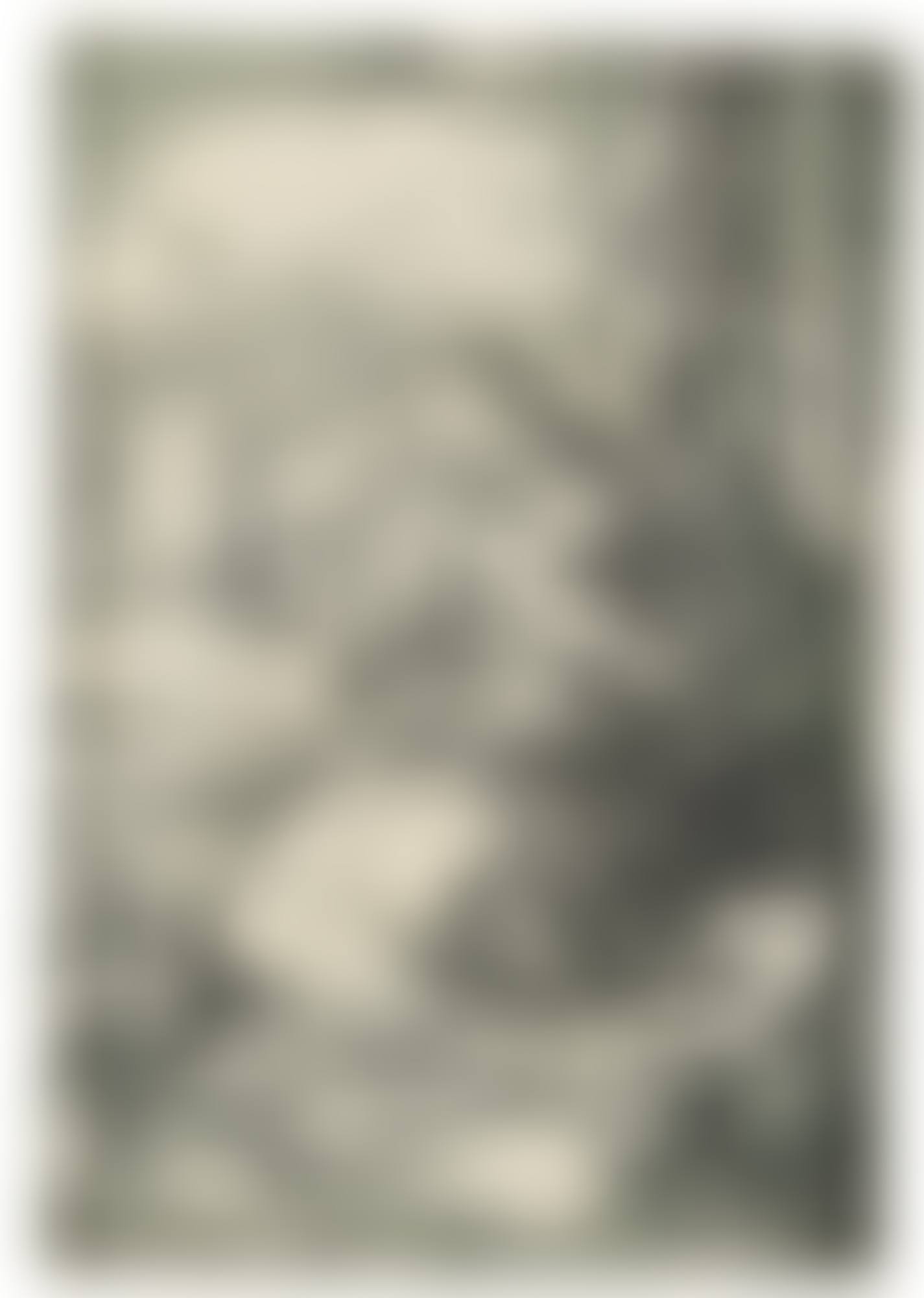 Madonna with the Pear (B. 41; M., Holl. 33) (preview)