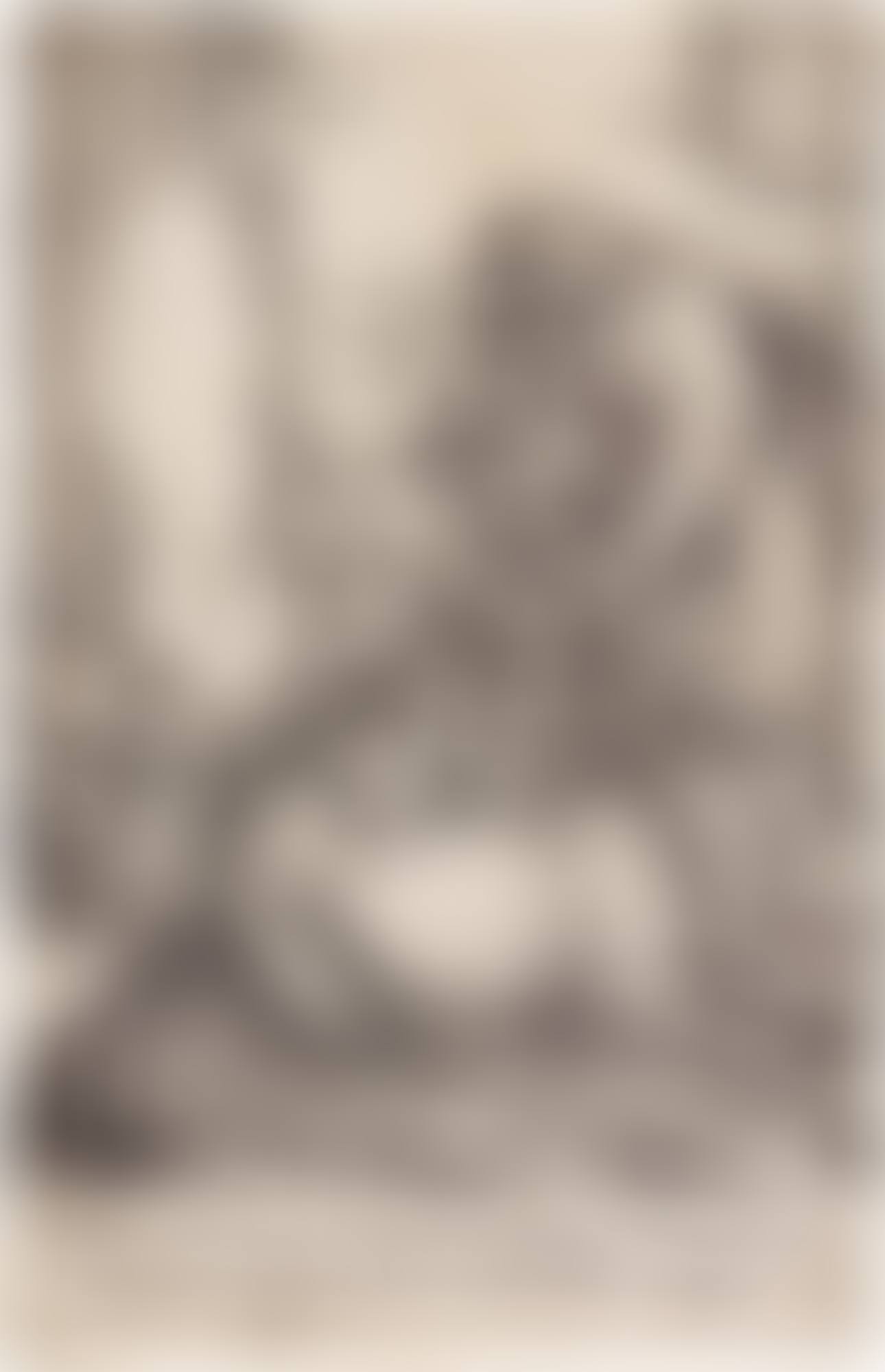 A Collection of Little Master Engravings and Woodcuts (preview)