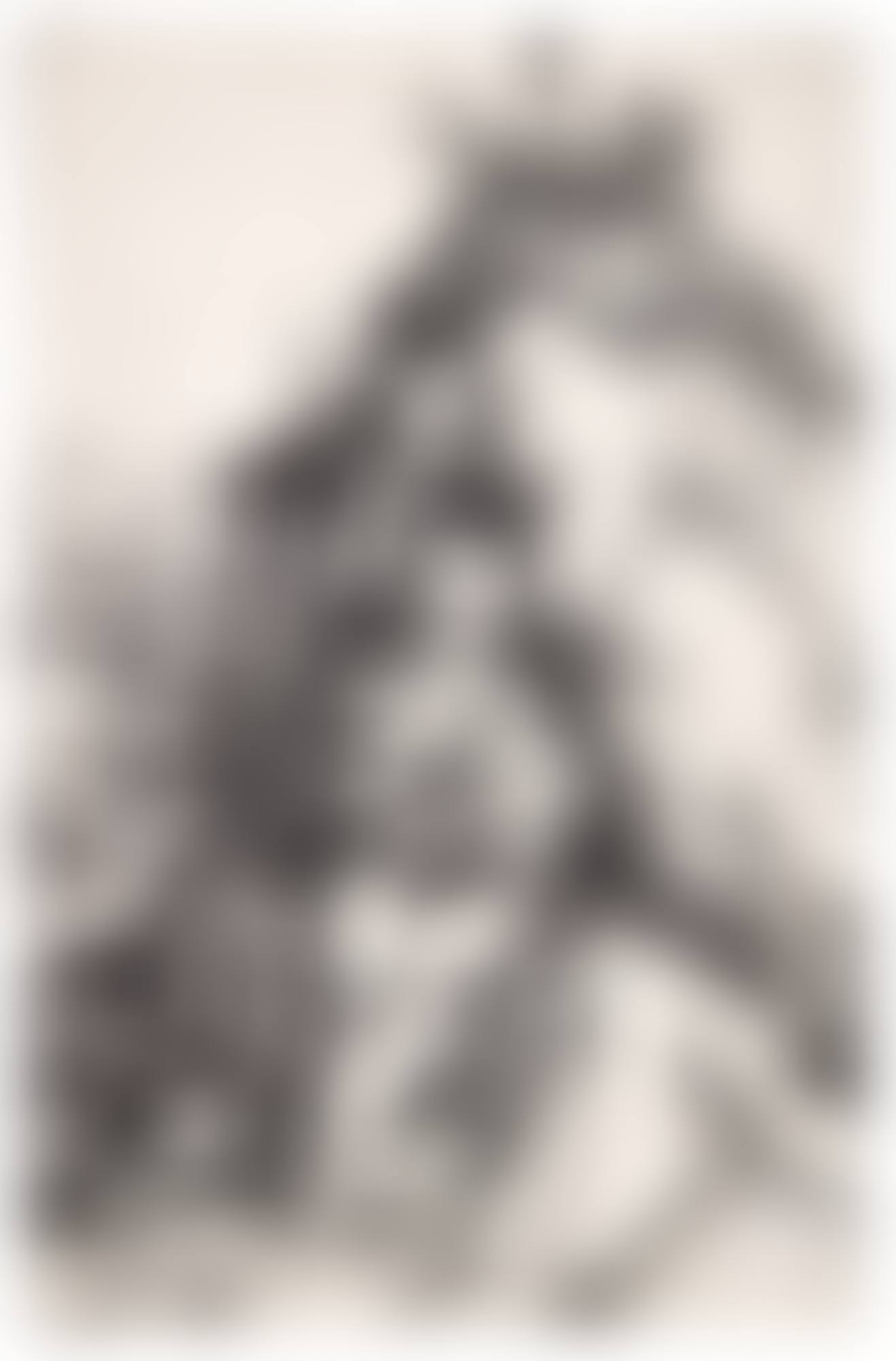 The Penance of St. John Chrysostom (B. 63; M., Holl. 54) (preview)