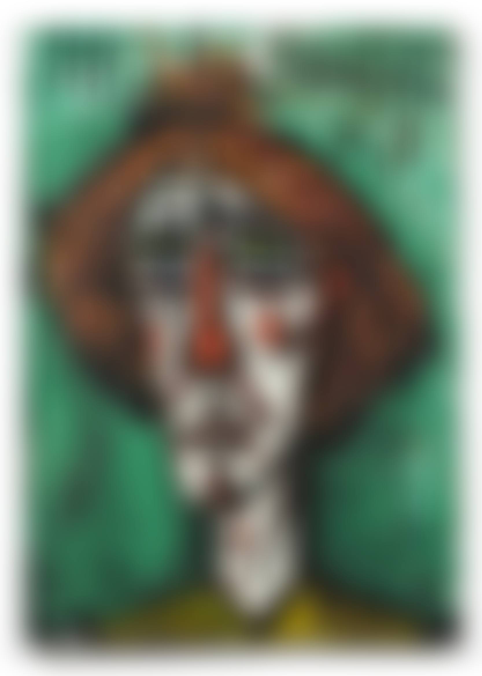 Tête de clown fond vert (preview)