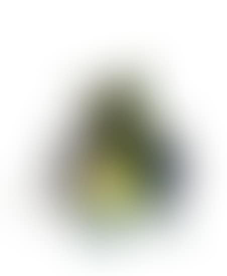 k.161b (preview)