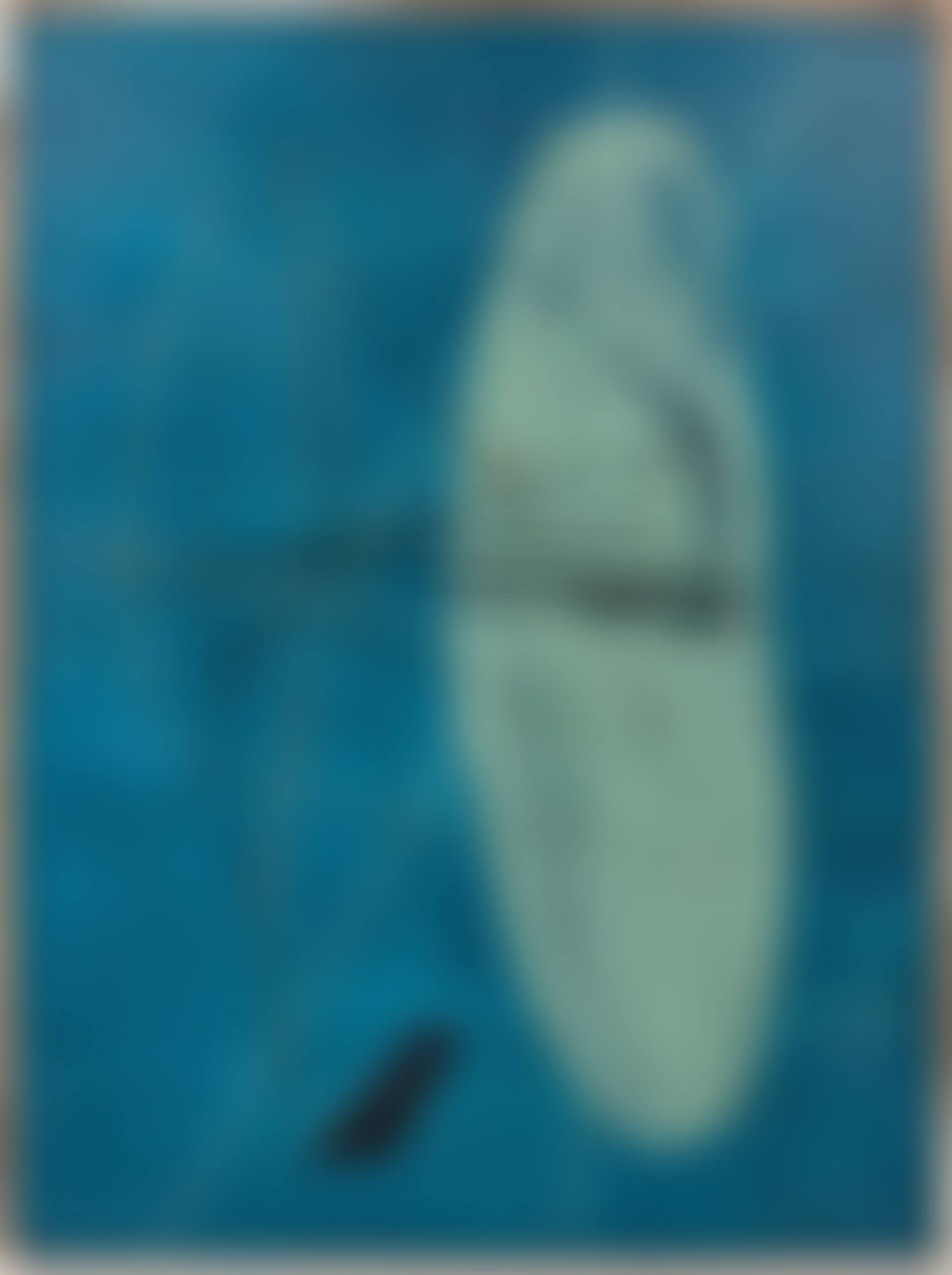 T-2 (preview)