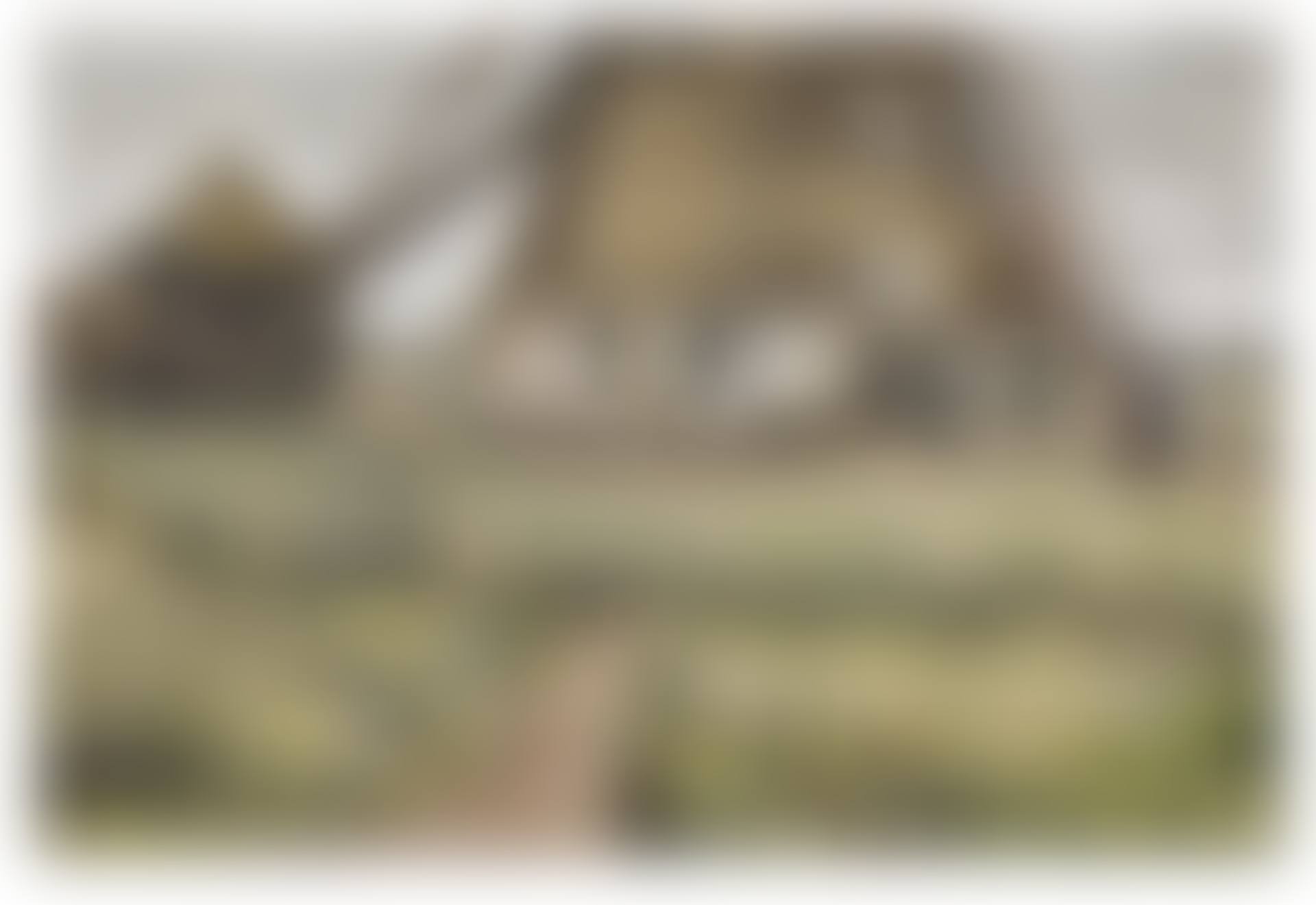 The "Laakmolen" Near The Hague (preview)