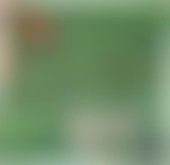 Dominos-Hot (preview)