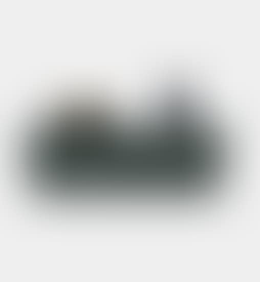 Untitled (brush, dog chew) 1A (preview)