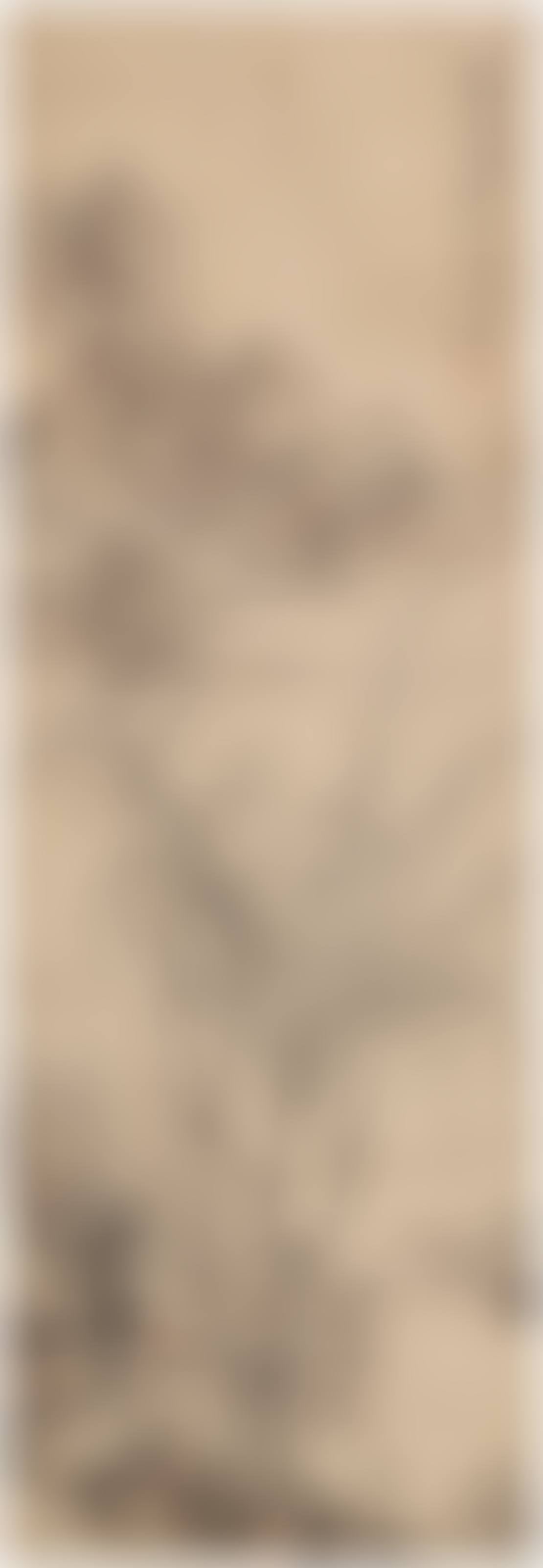 Landscape (preview)