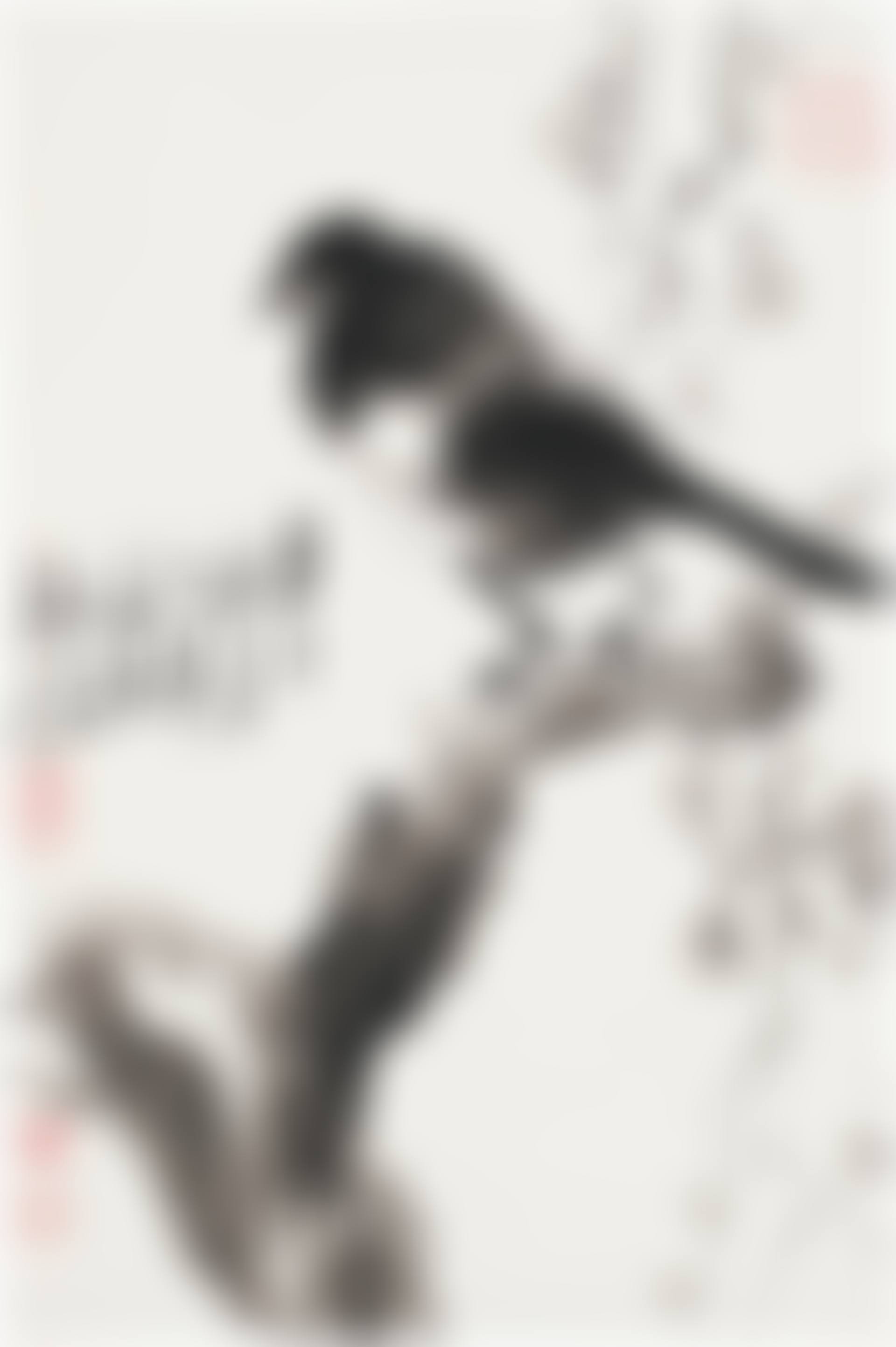 Magpie on Branch (preview)